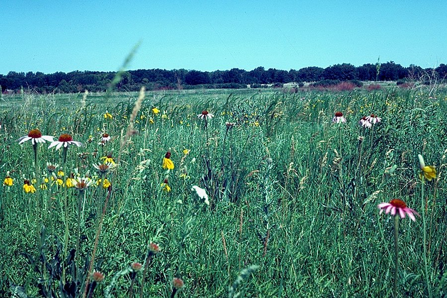Buffalo River Campground