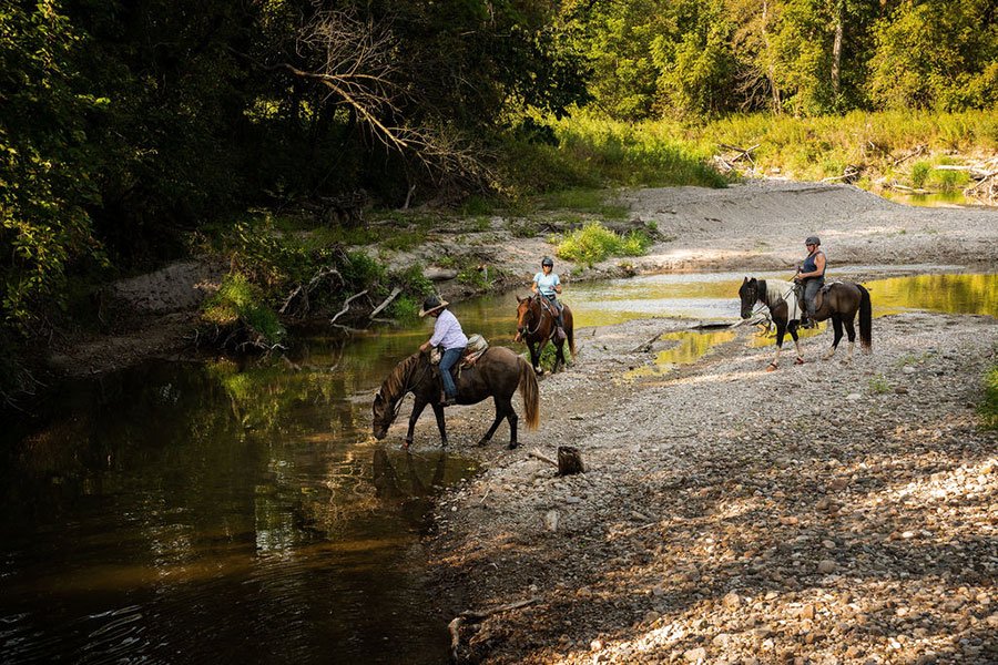 Equestrian Campground