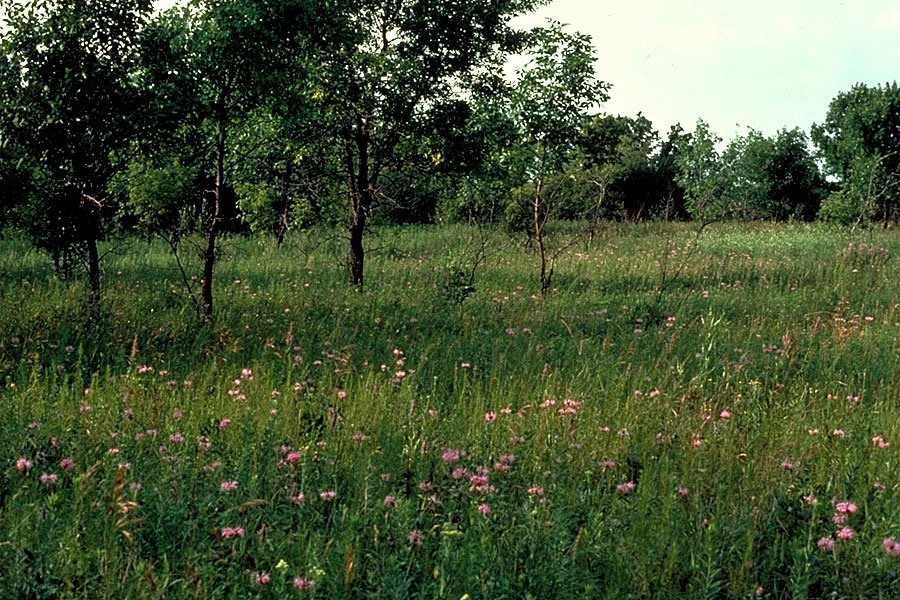 Lakeside Extension Campground