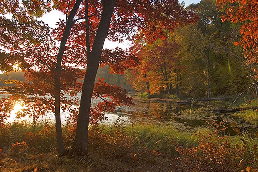 Camper Cabins Campground