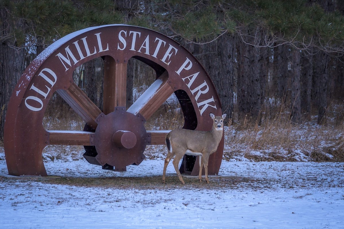 Old Mill Campground