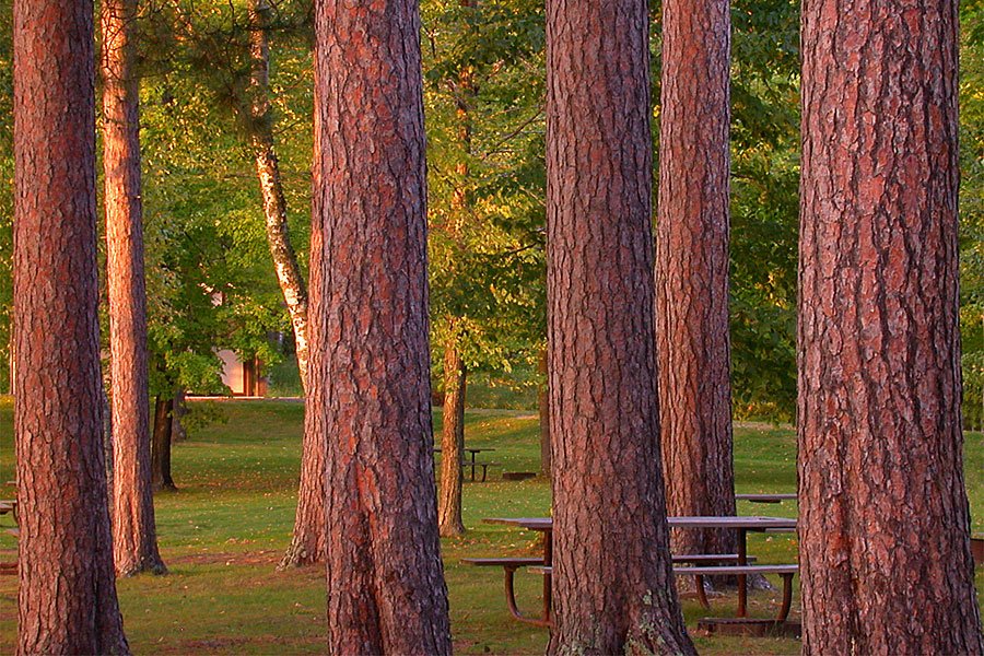 Group Camp