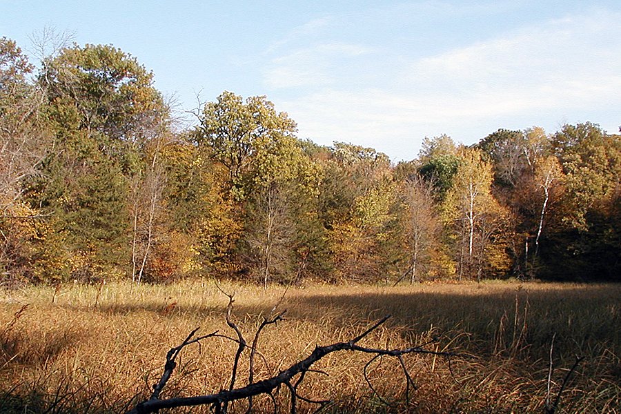 Lakeview Campground