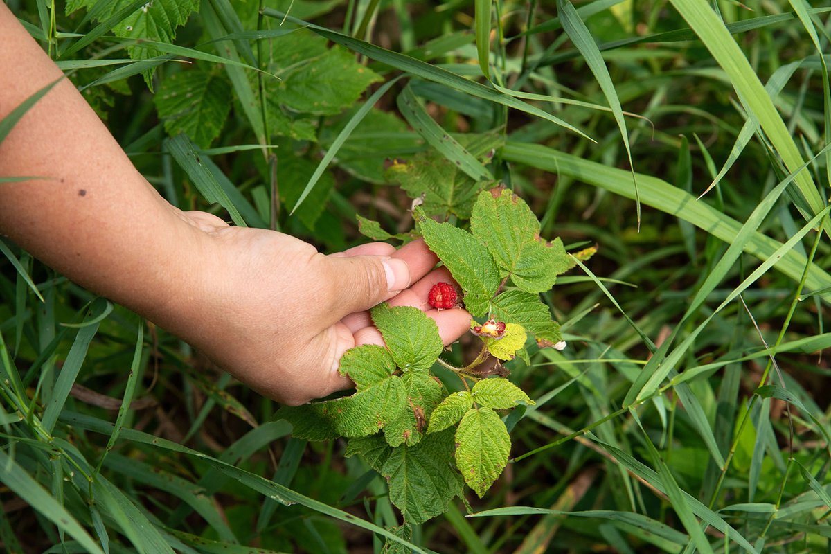 Riverview Campground