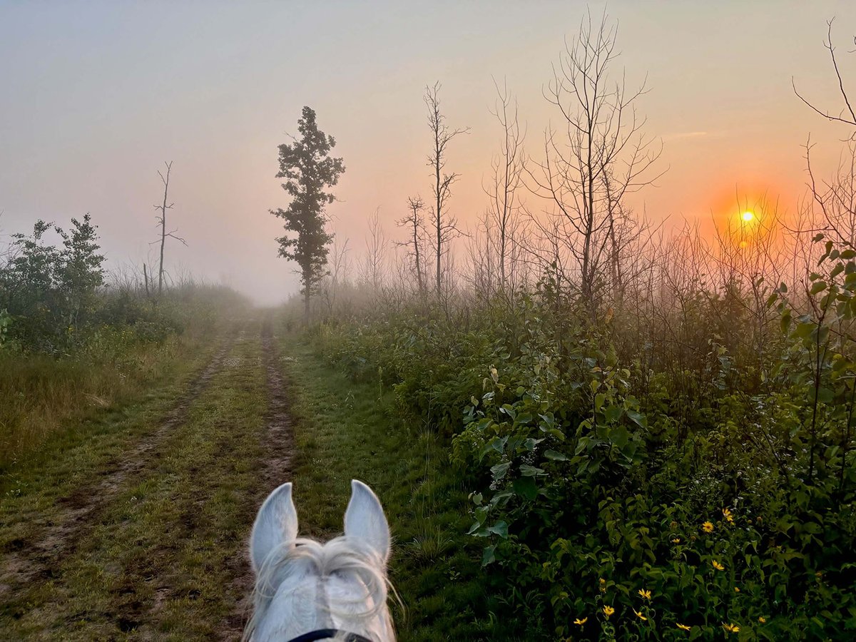 Riverview Campground