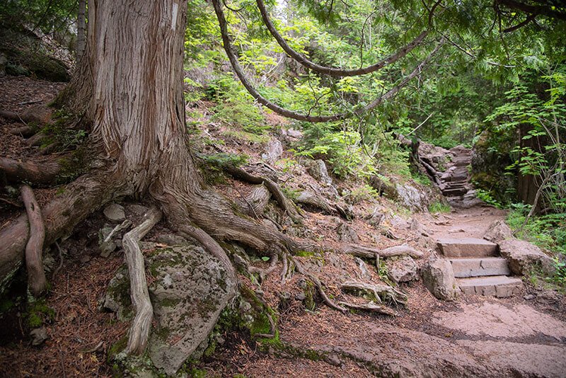 Lower Campground