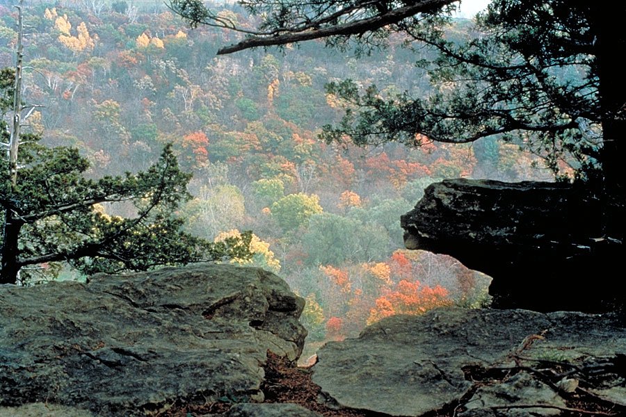 Gooseberry Glen Cart-In Campground