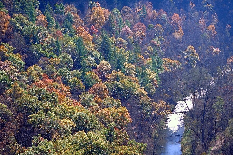 Gooseberry Glen Cart-In Campground