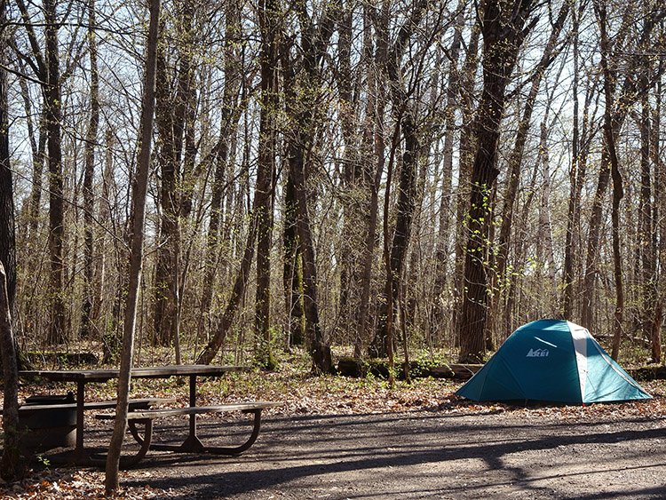 Wild River Guest House