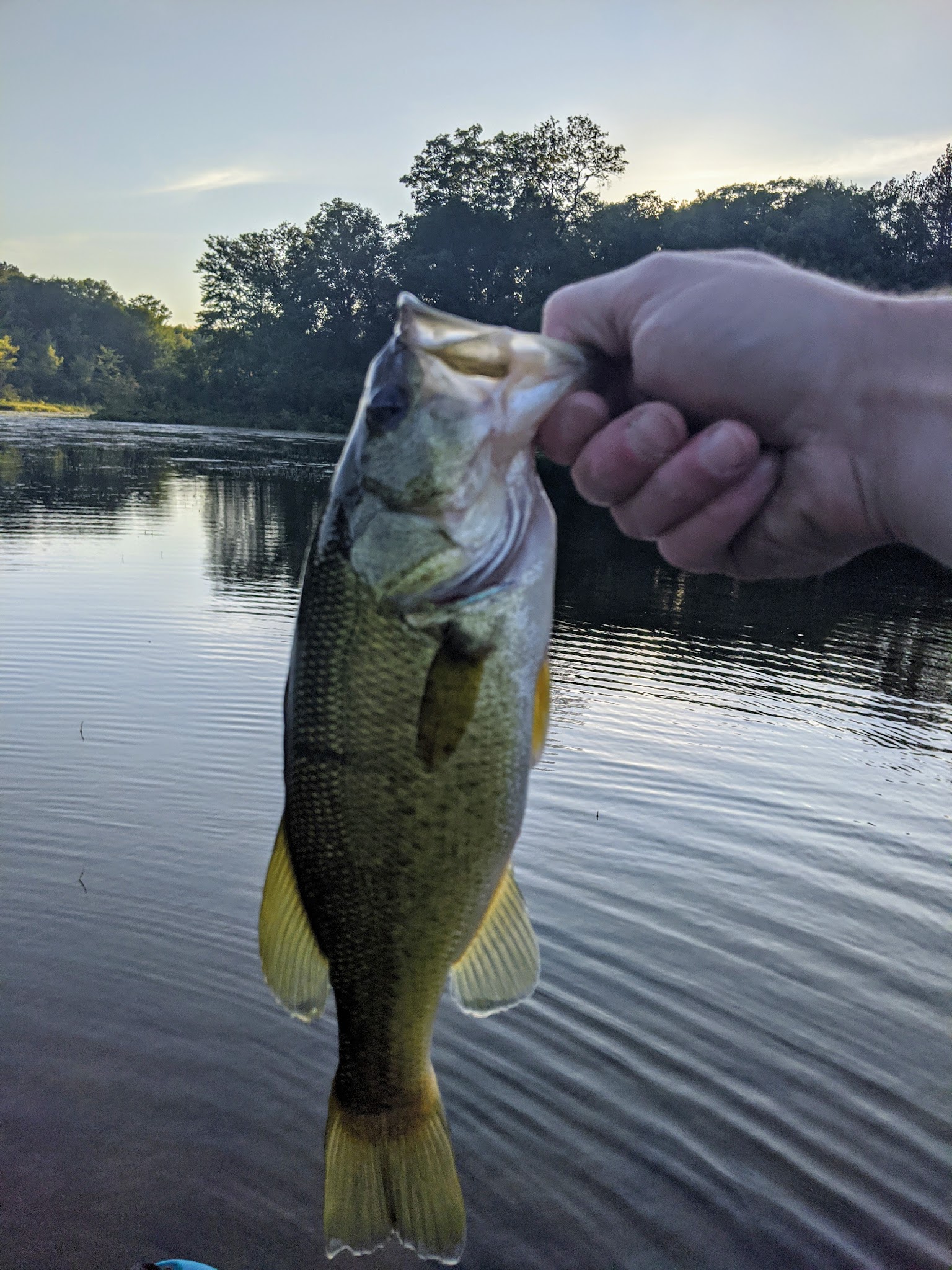 Minnie Pond Campground