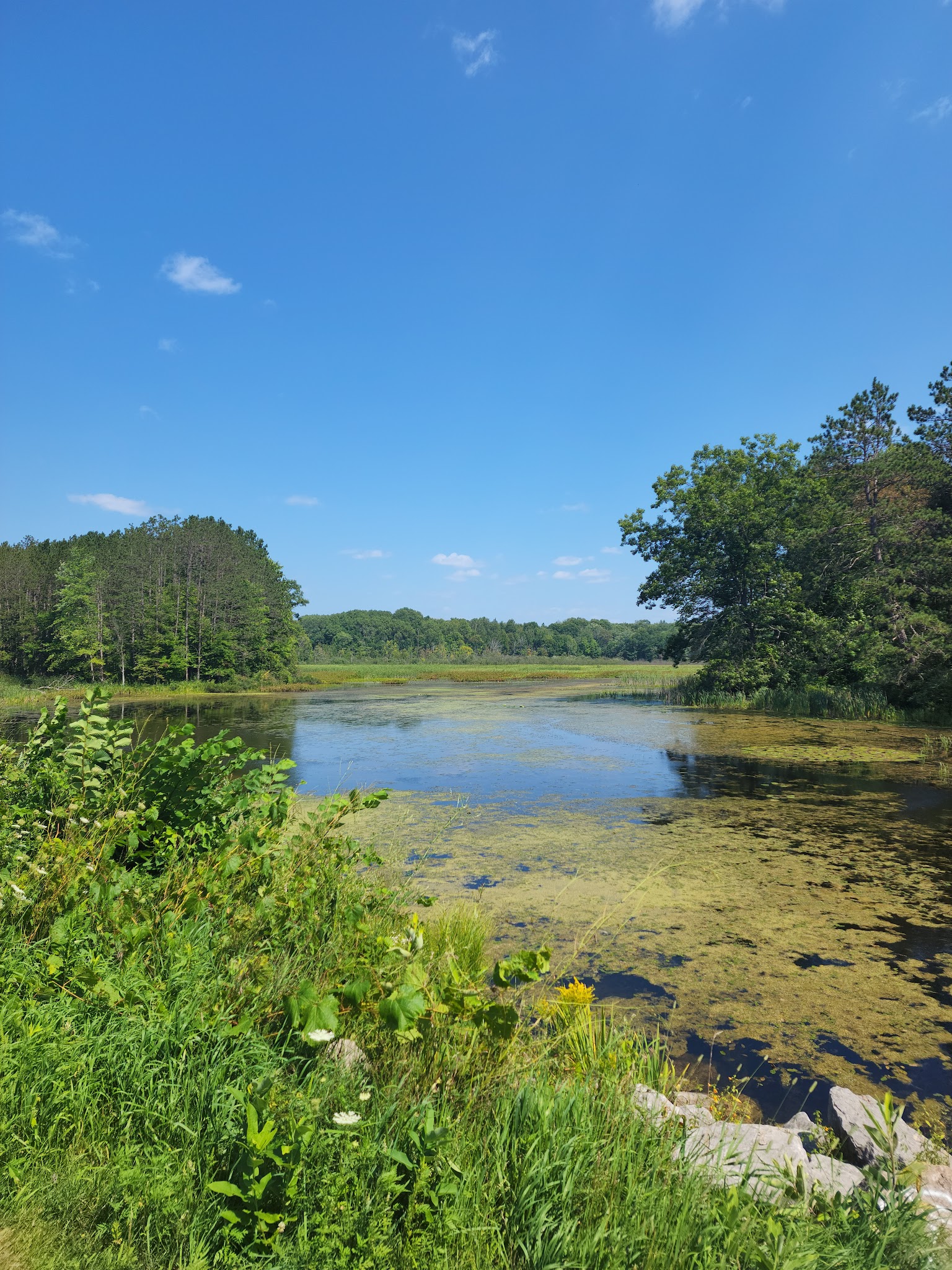Minnie Pond Campground