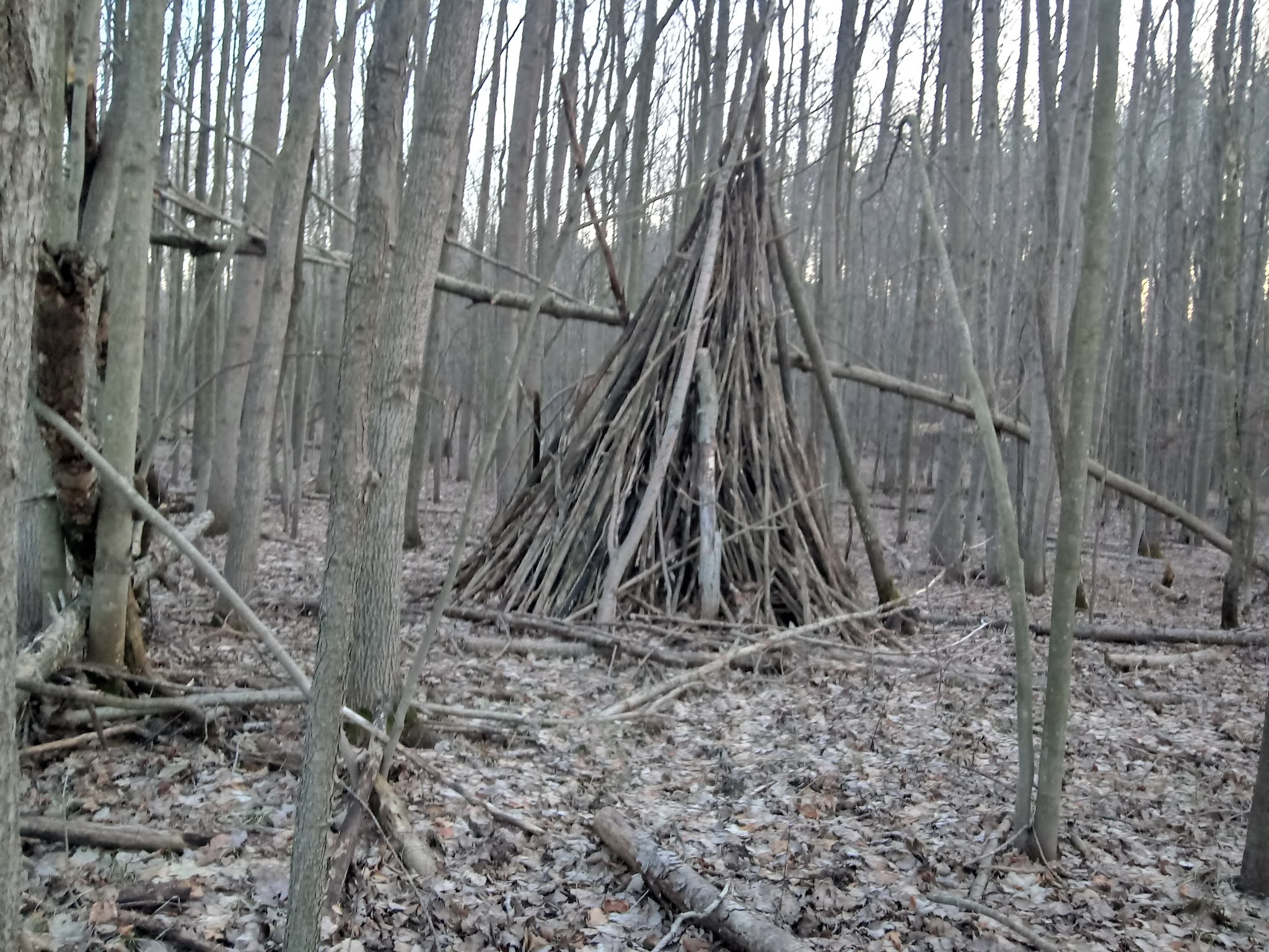 Minnie Pond Campground