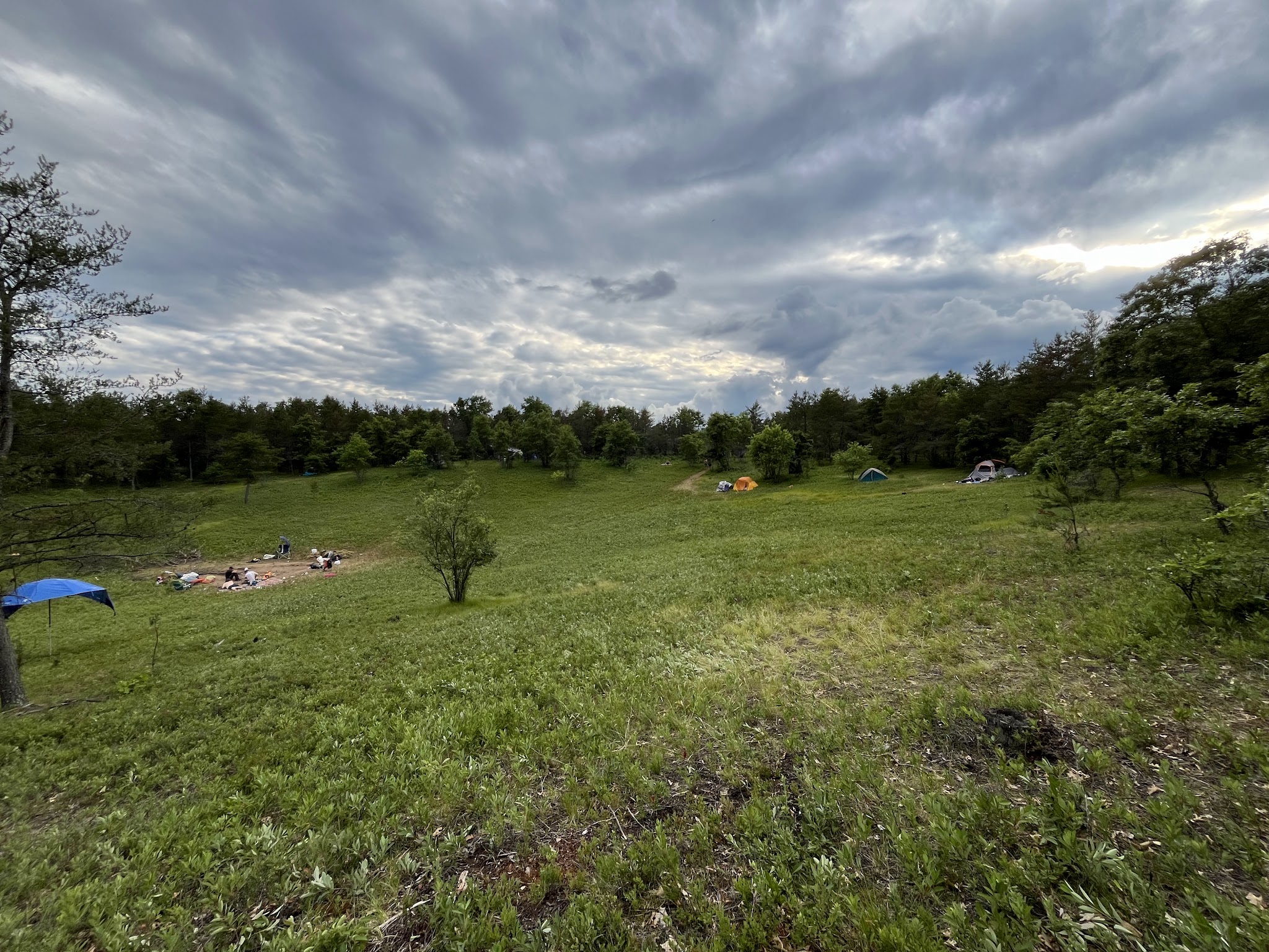 Mio Pond State Forest Campground And Group Camp