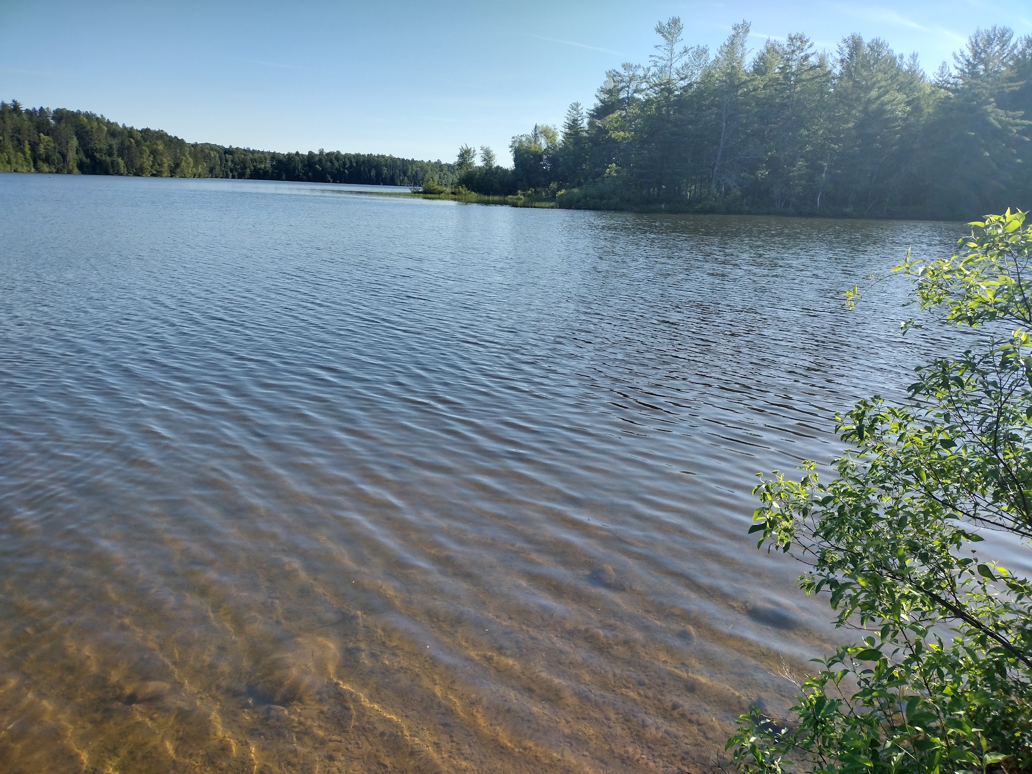 Mio Pond State Forest Campground And Group Camp