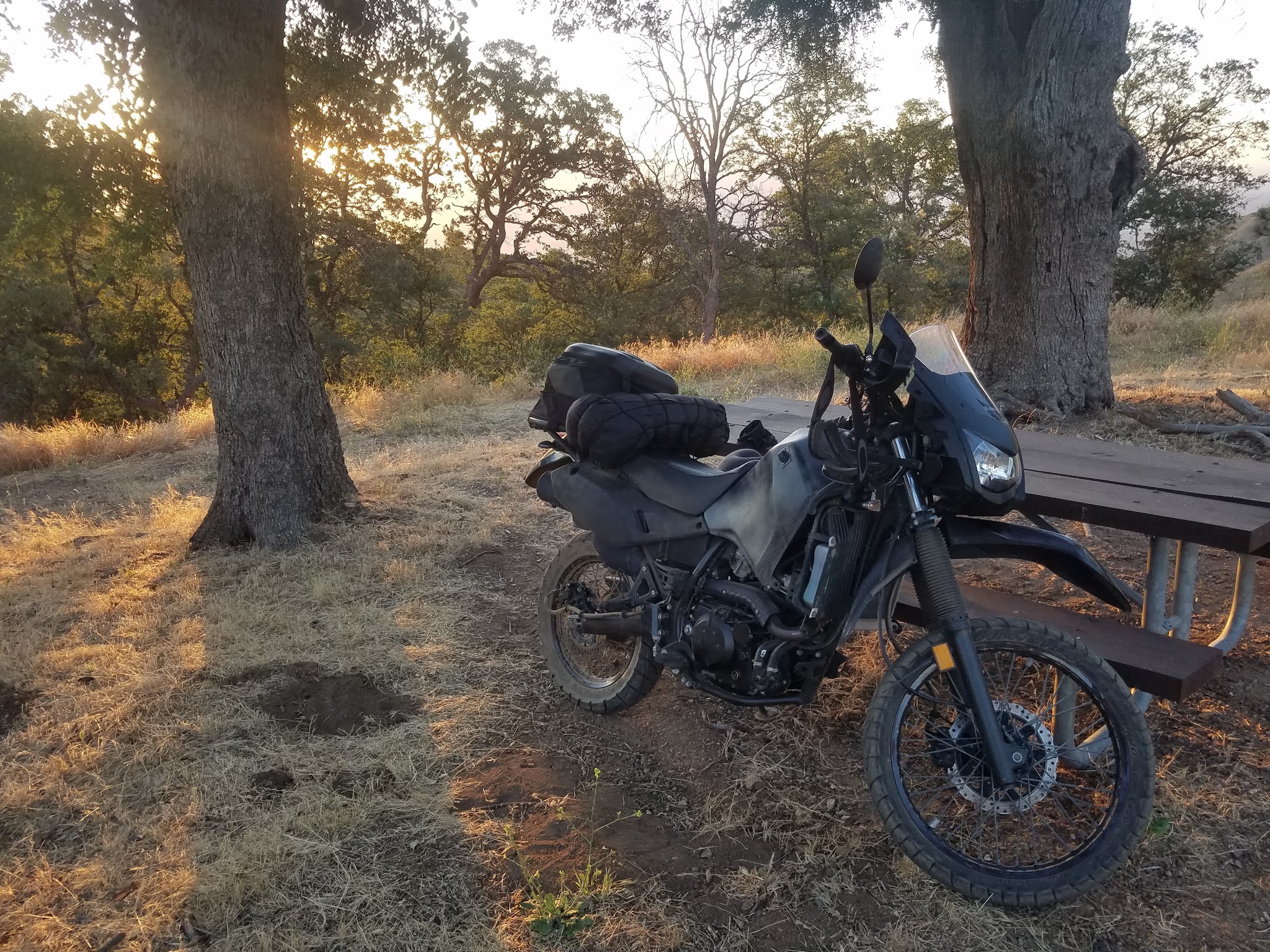 Miranda Pine Campground