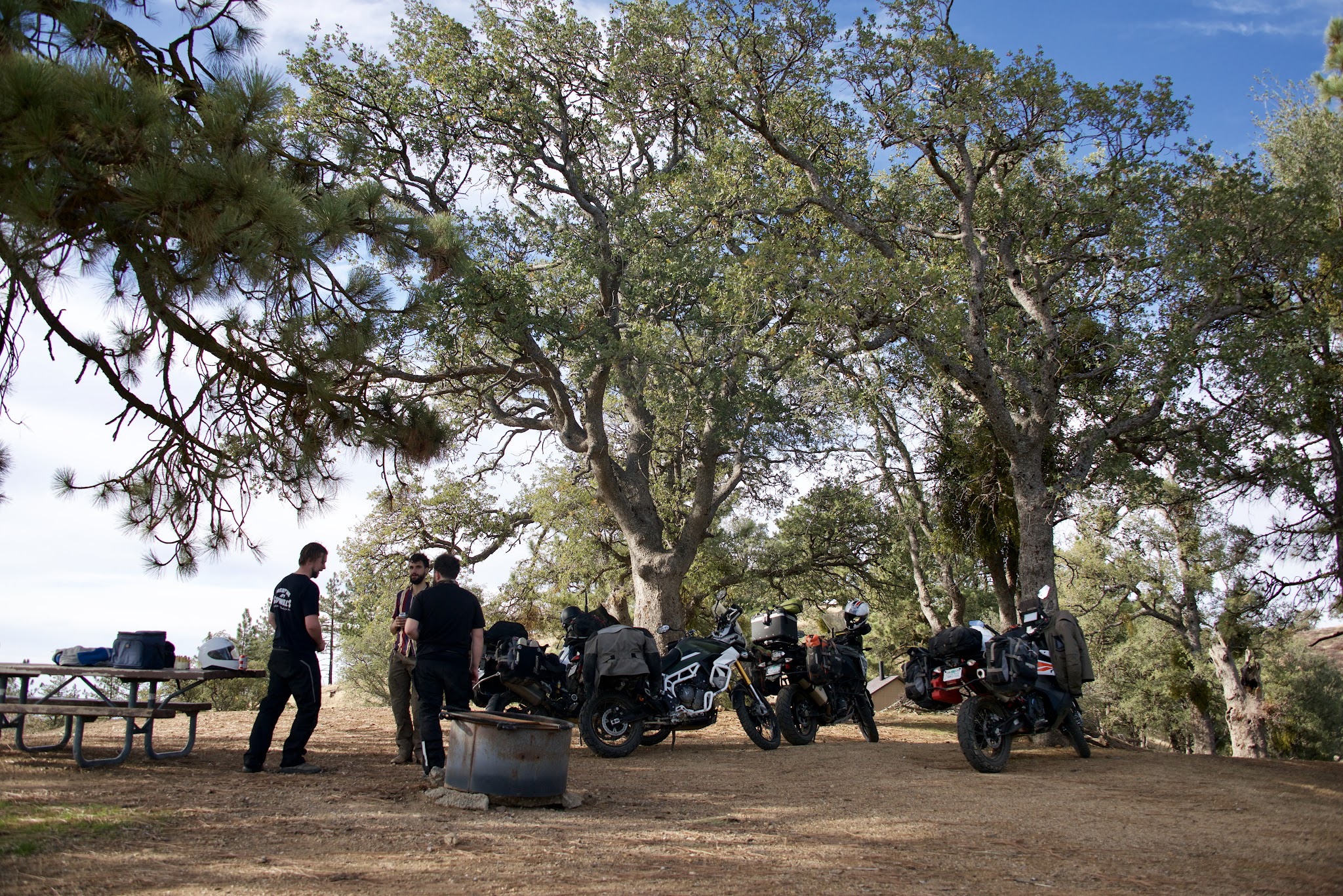 Miranda Pine Campground