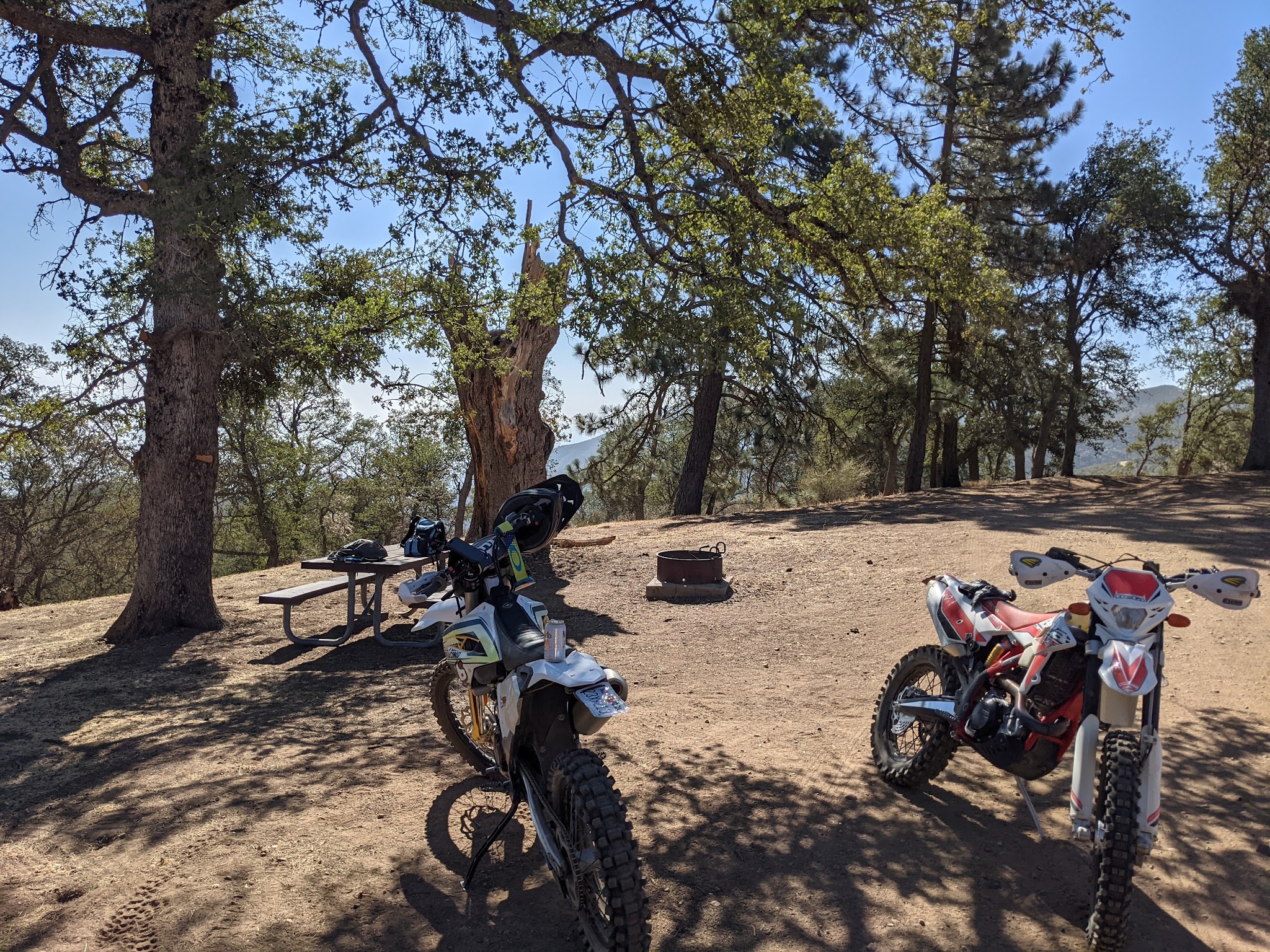 Miranda Pine Campground