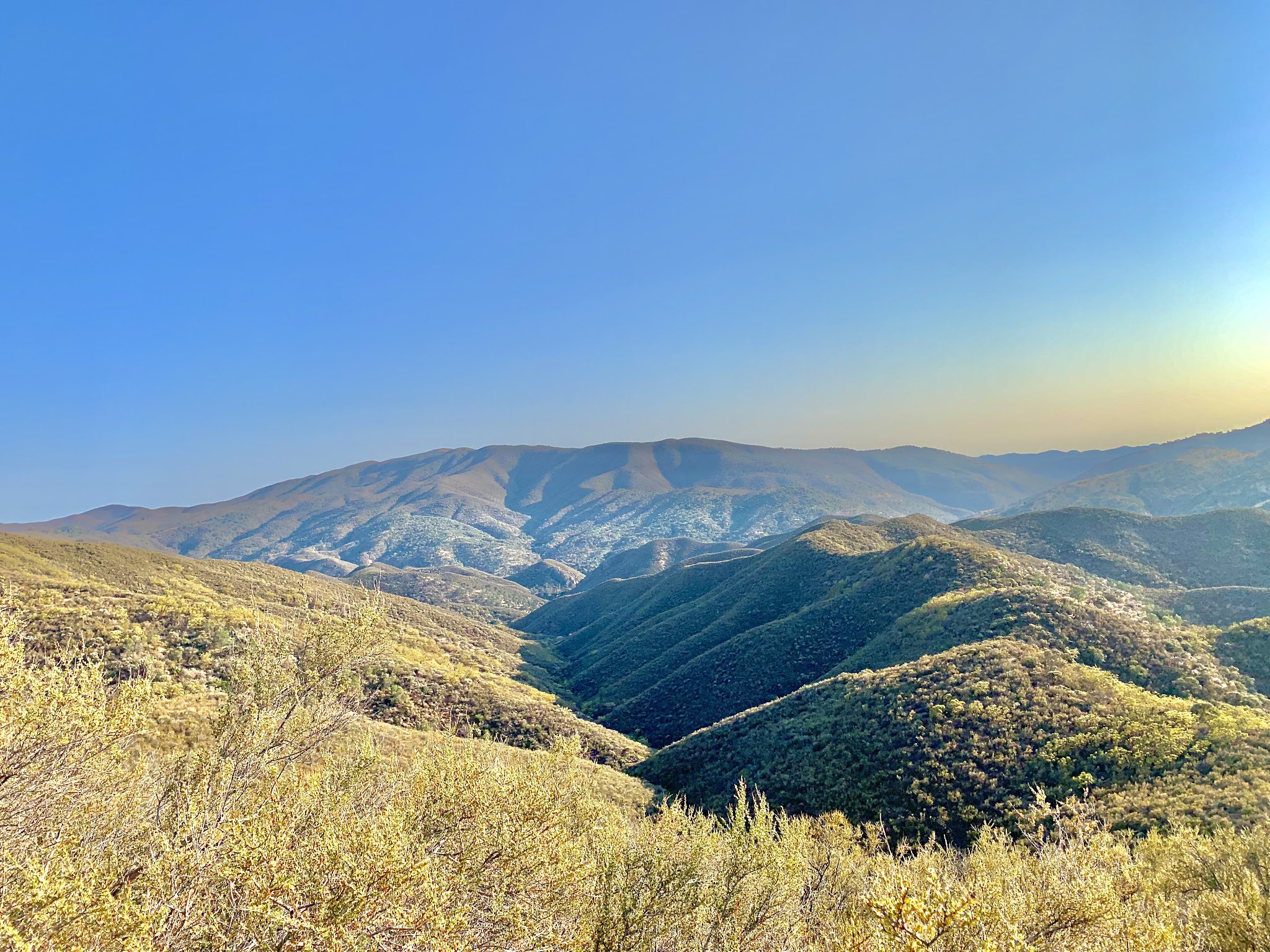 Miranda Pine Campground