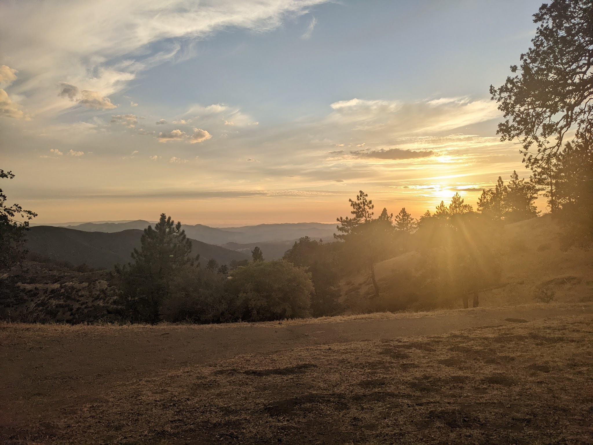 Miranda Pine Campground