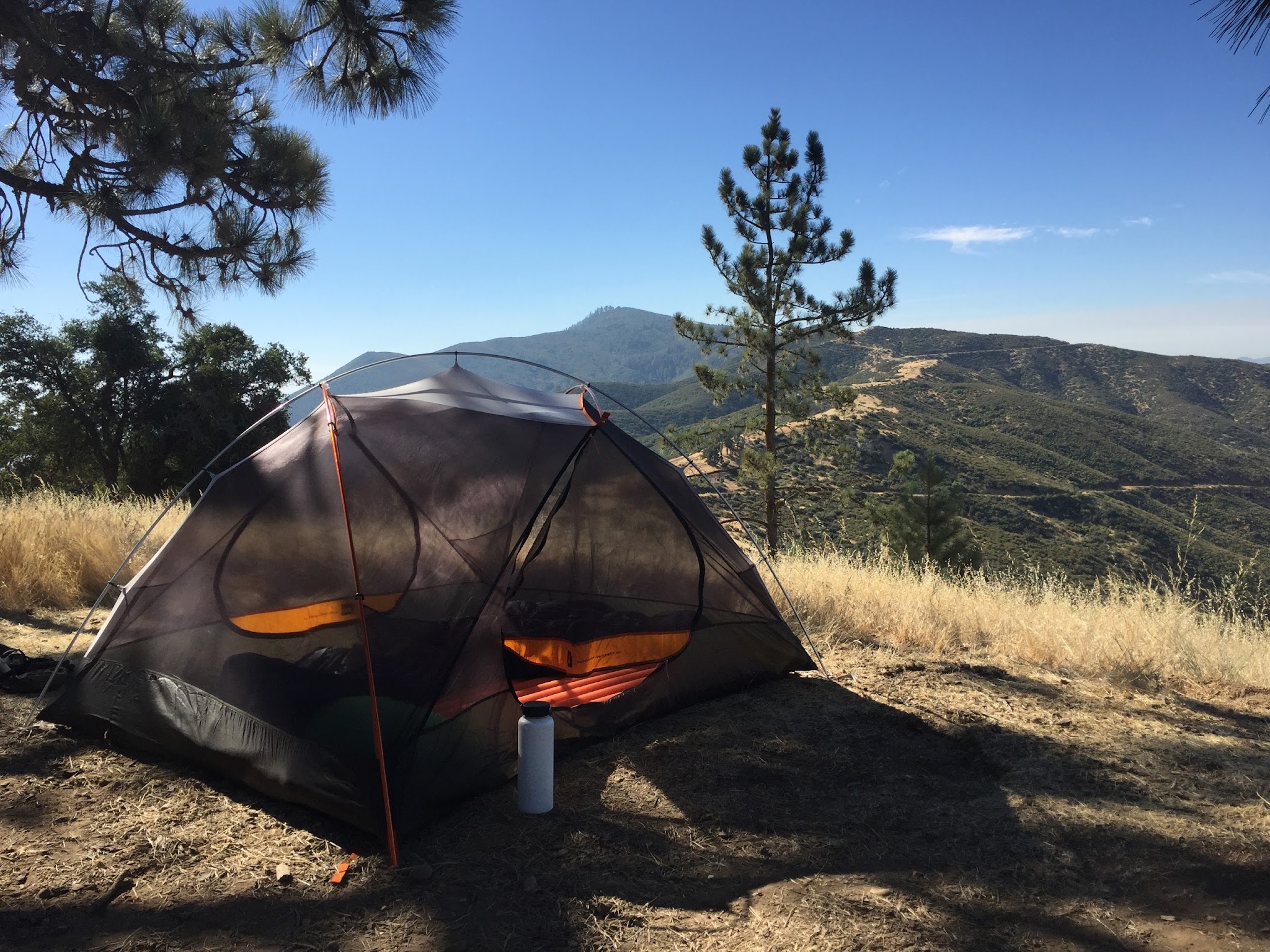 Miranda Pine Campground