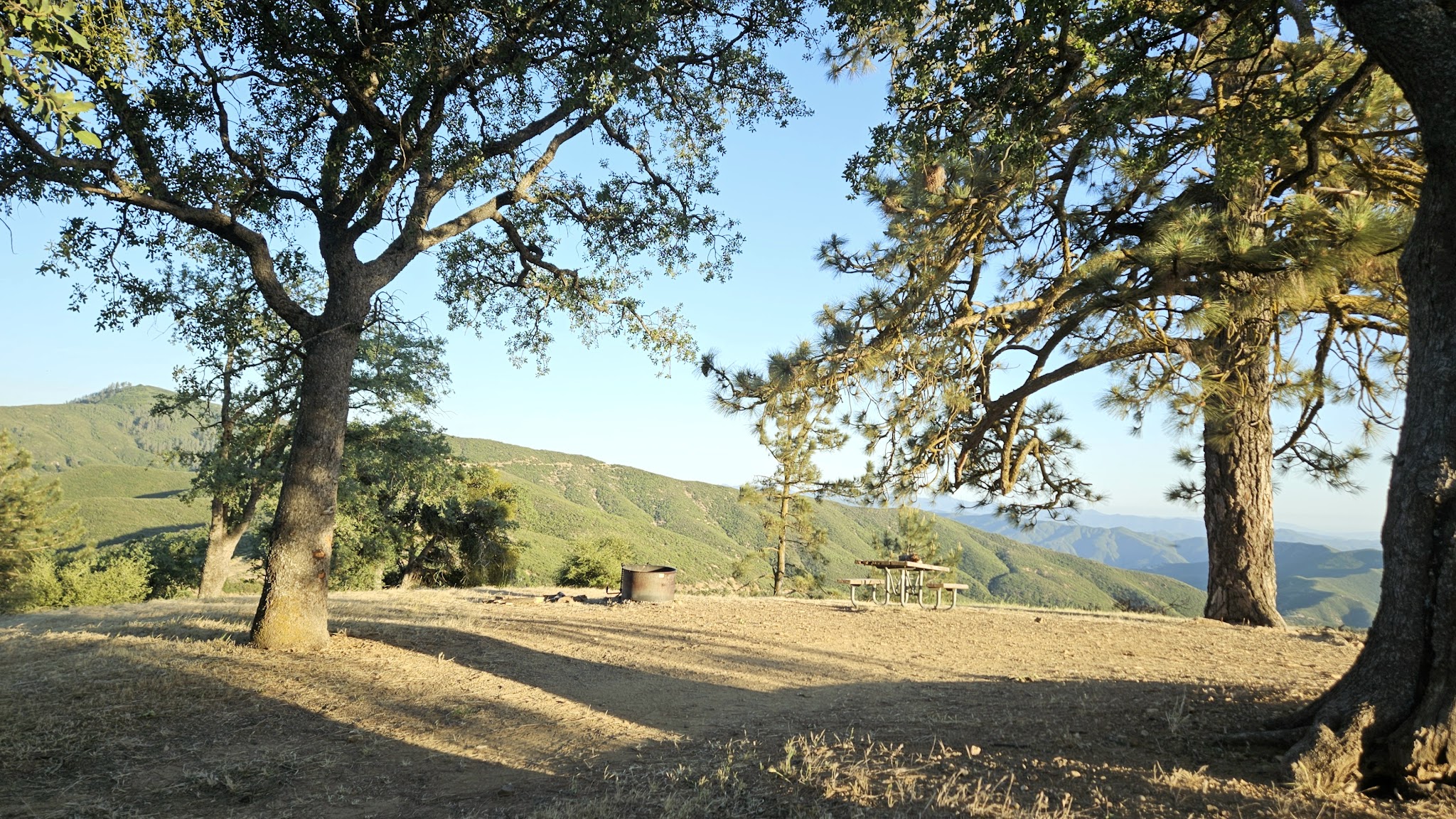 Miranda Pine Campground