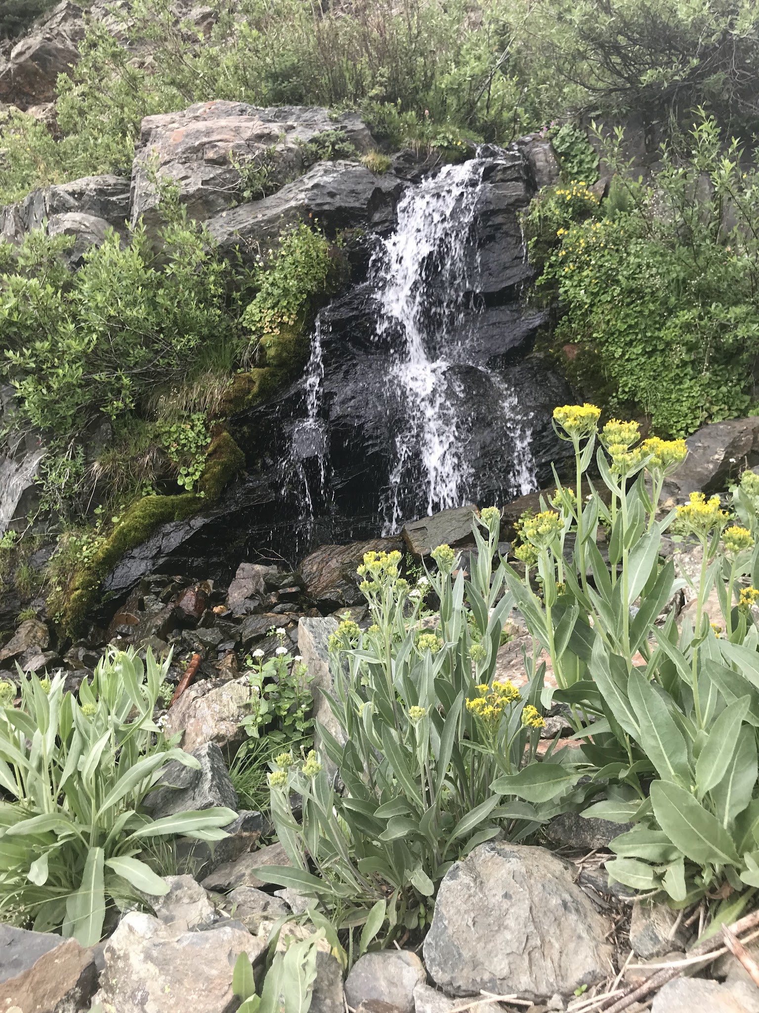 Mirror Lake Campground - Gunnison Rd