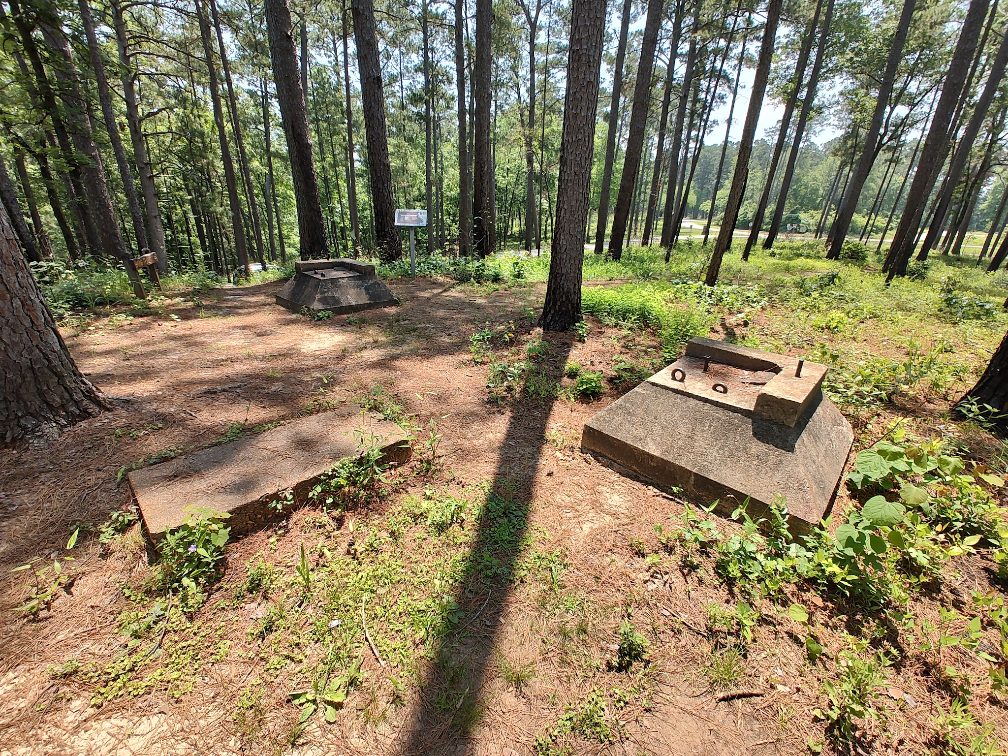 Mission Tejas State Park