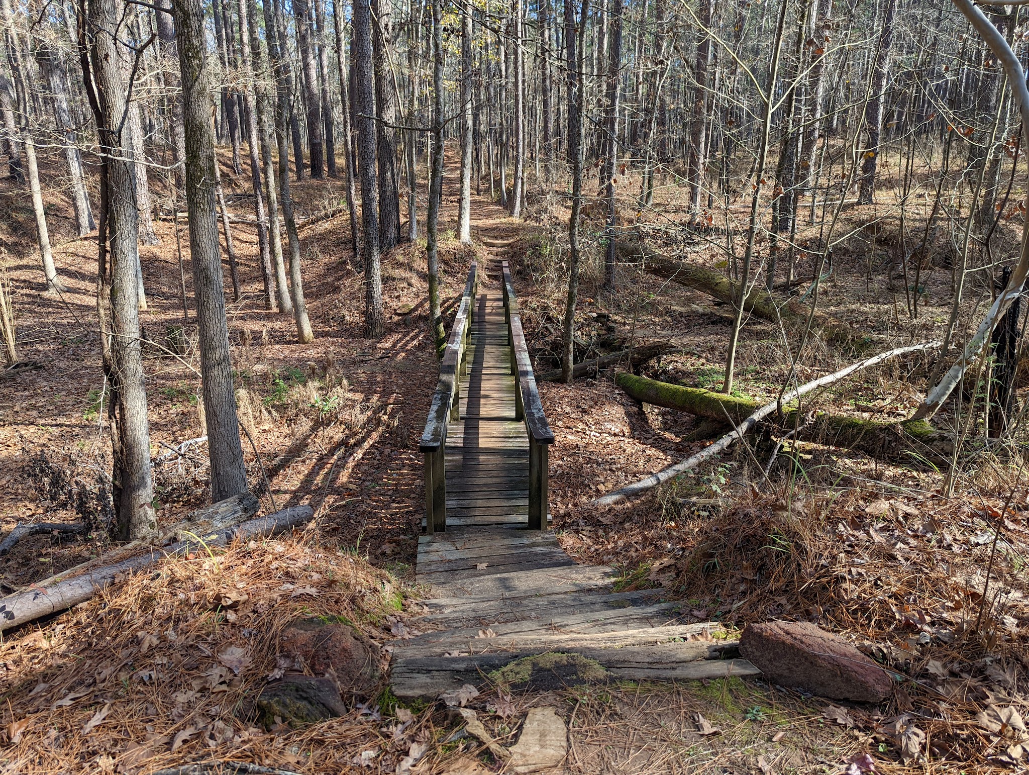 Mission Tejas State Park