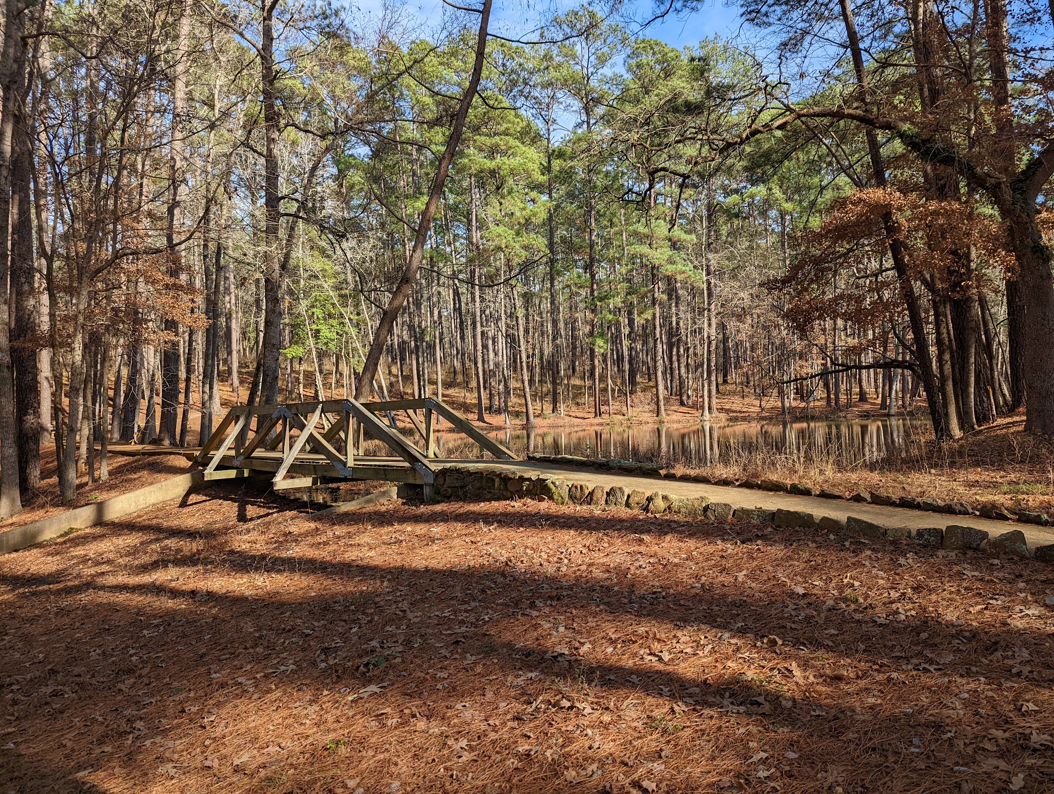 Mission Tejas State Park