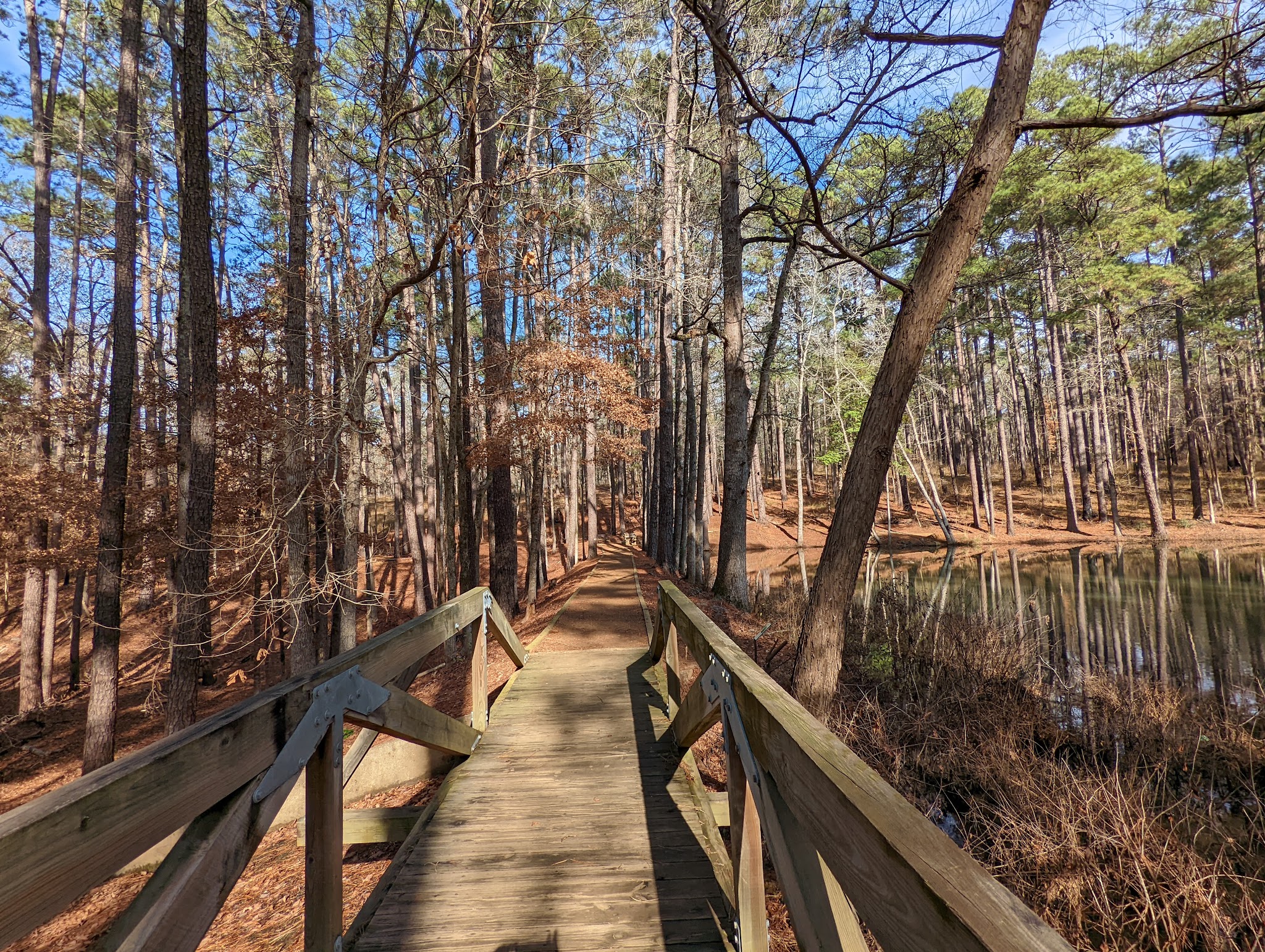 Mission Tejas State Park