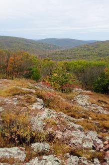 Taum Sauk Mountain State Park Campground