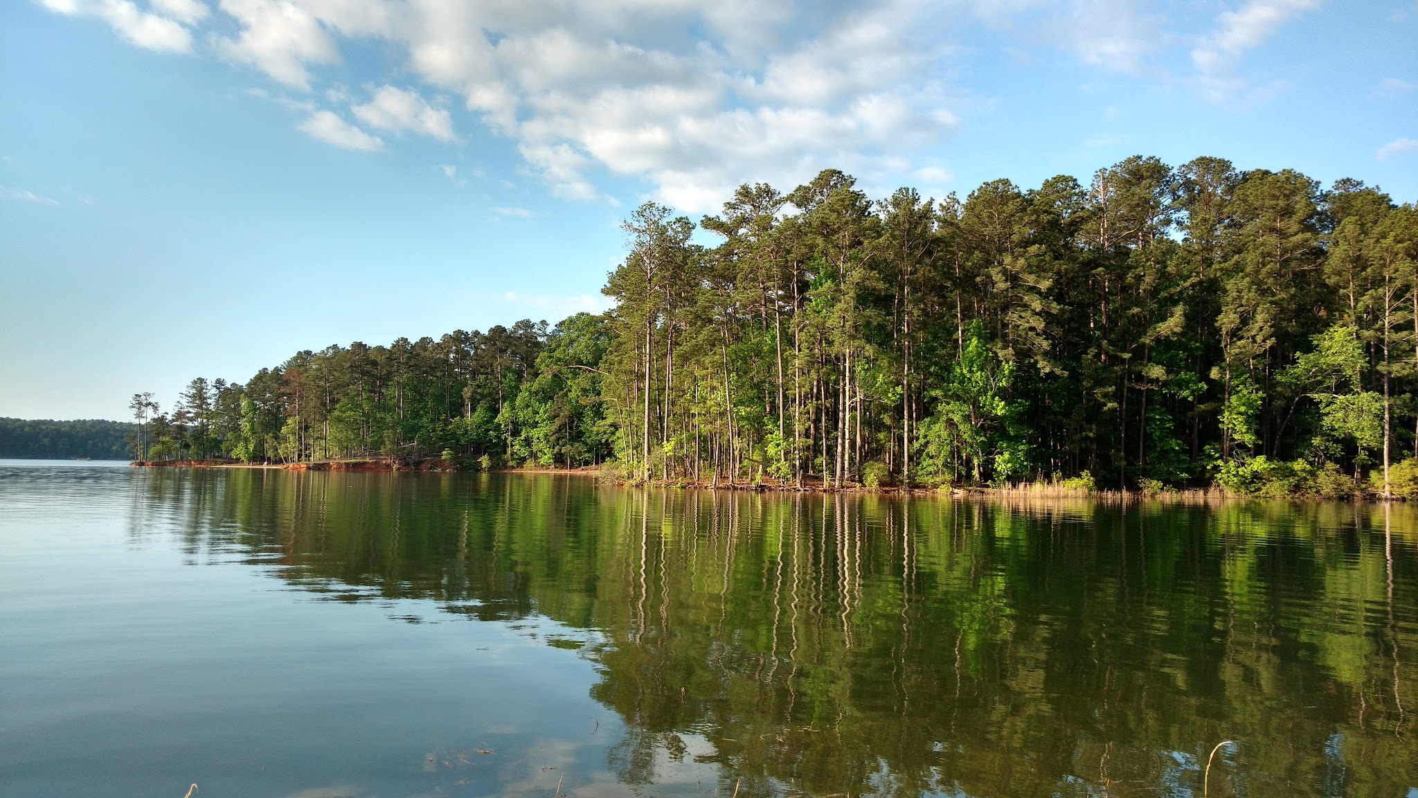 Mistletoe State Park