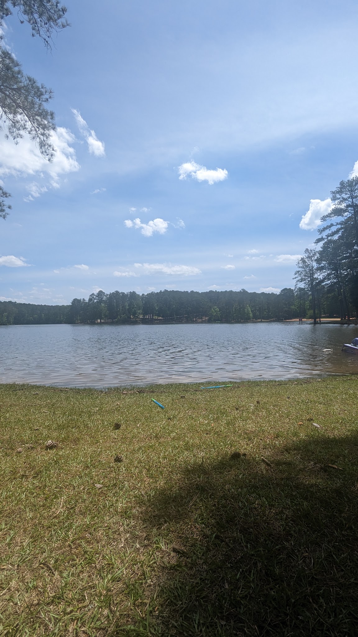 Mistletoe State Park