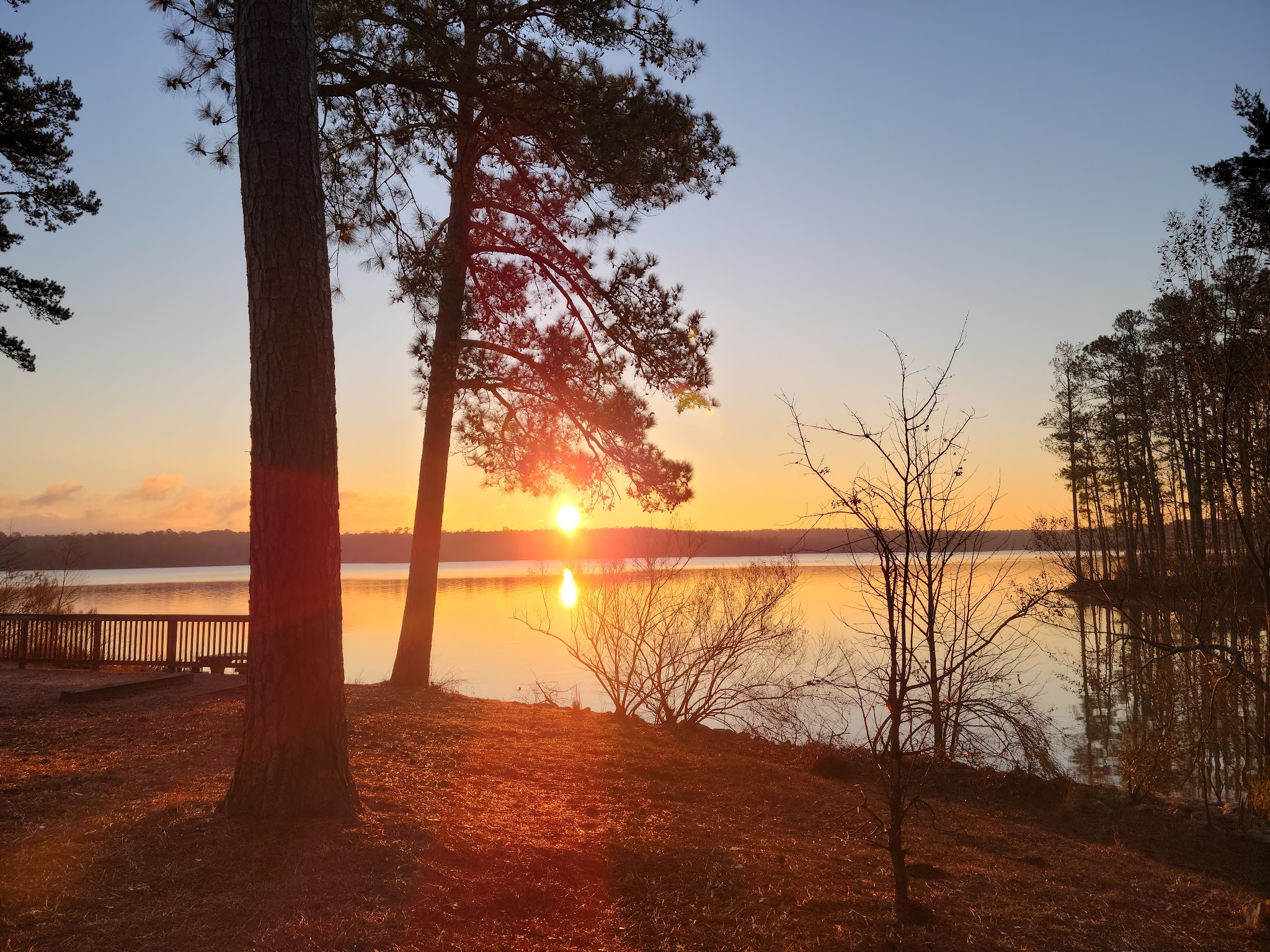 Mistletoe State Park