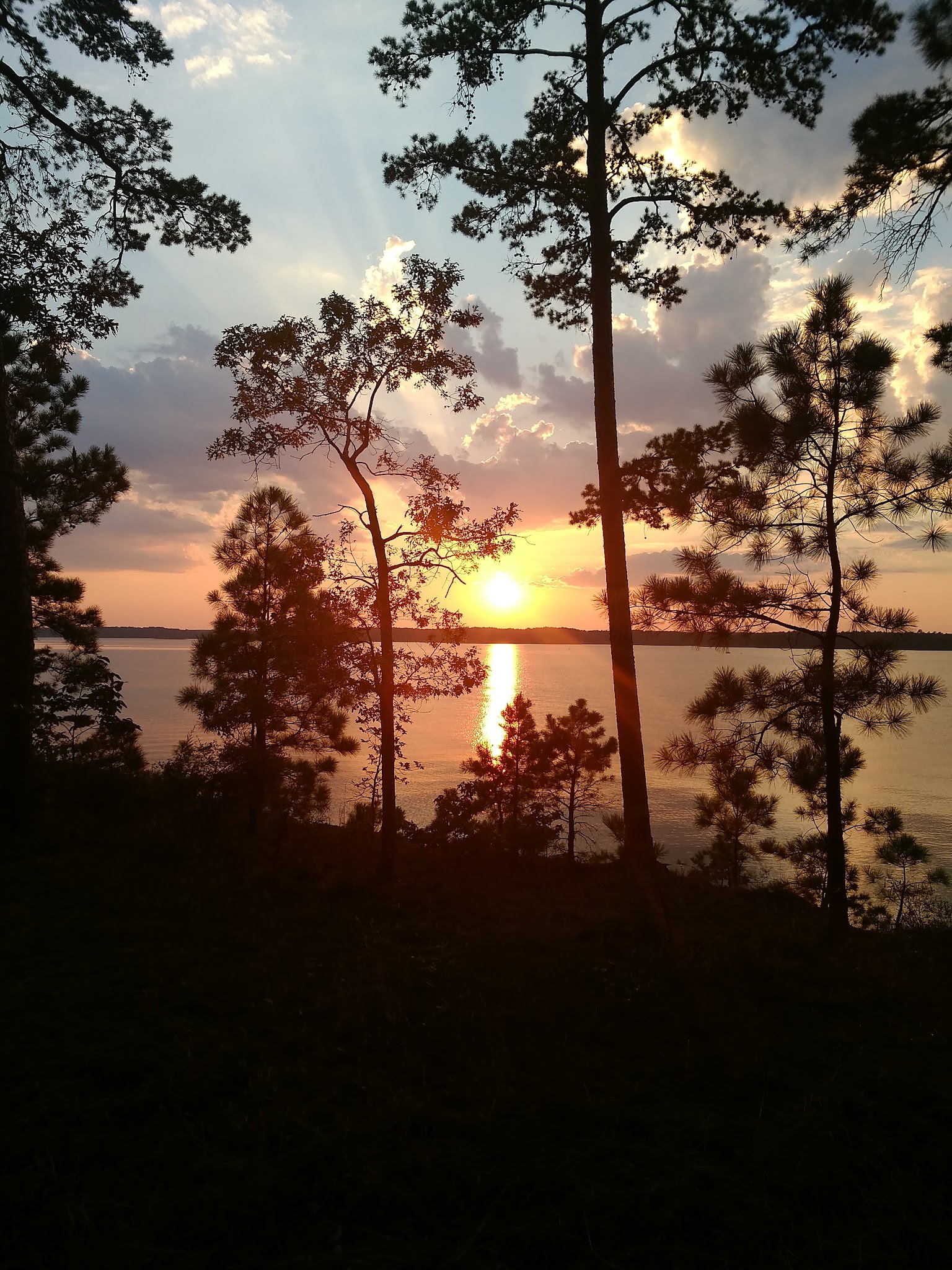 Mistletoe State Park