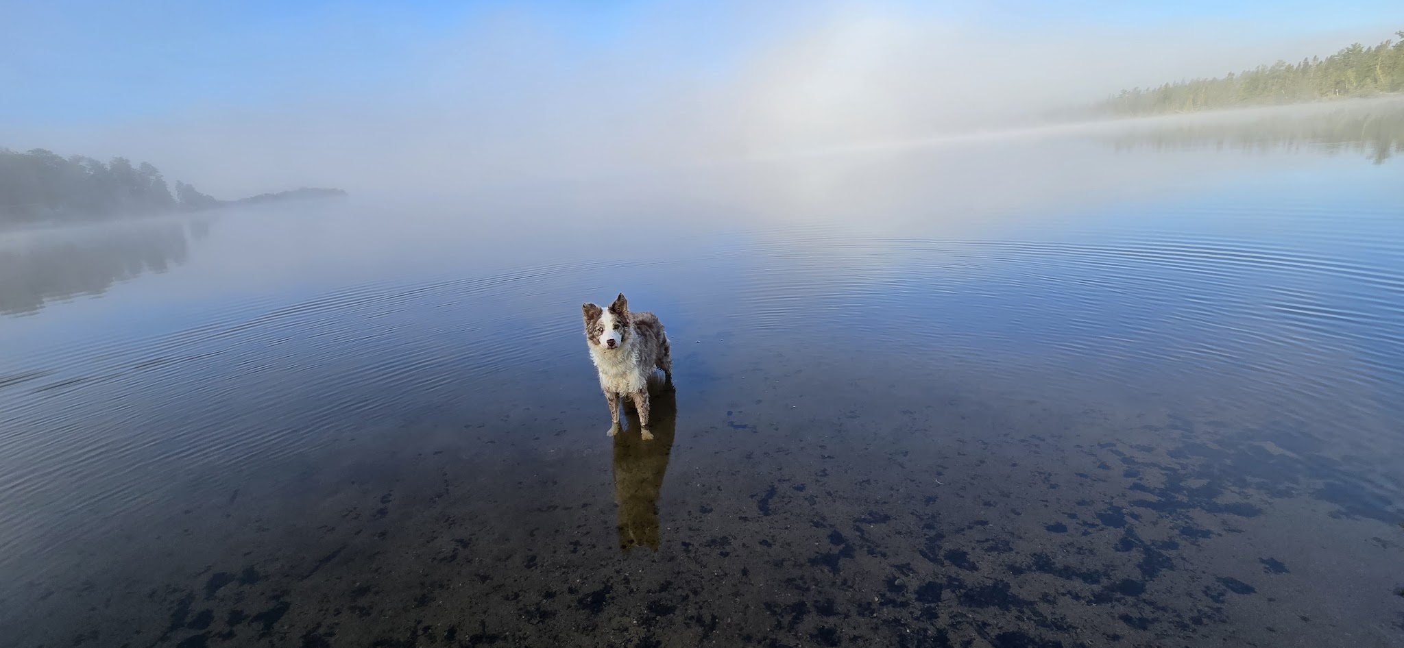 Beaufort Lake State Forest Campground