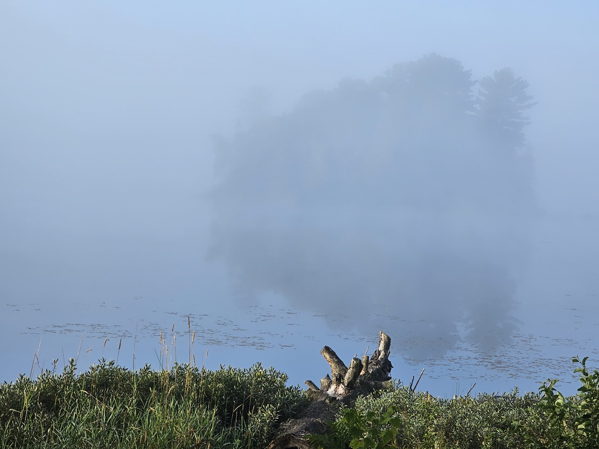 King Lake State Forest Campground