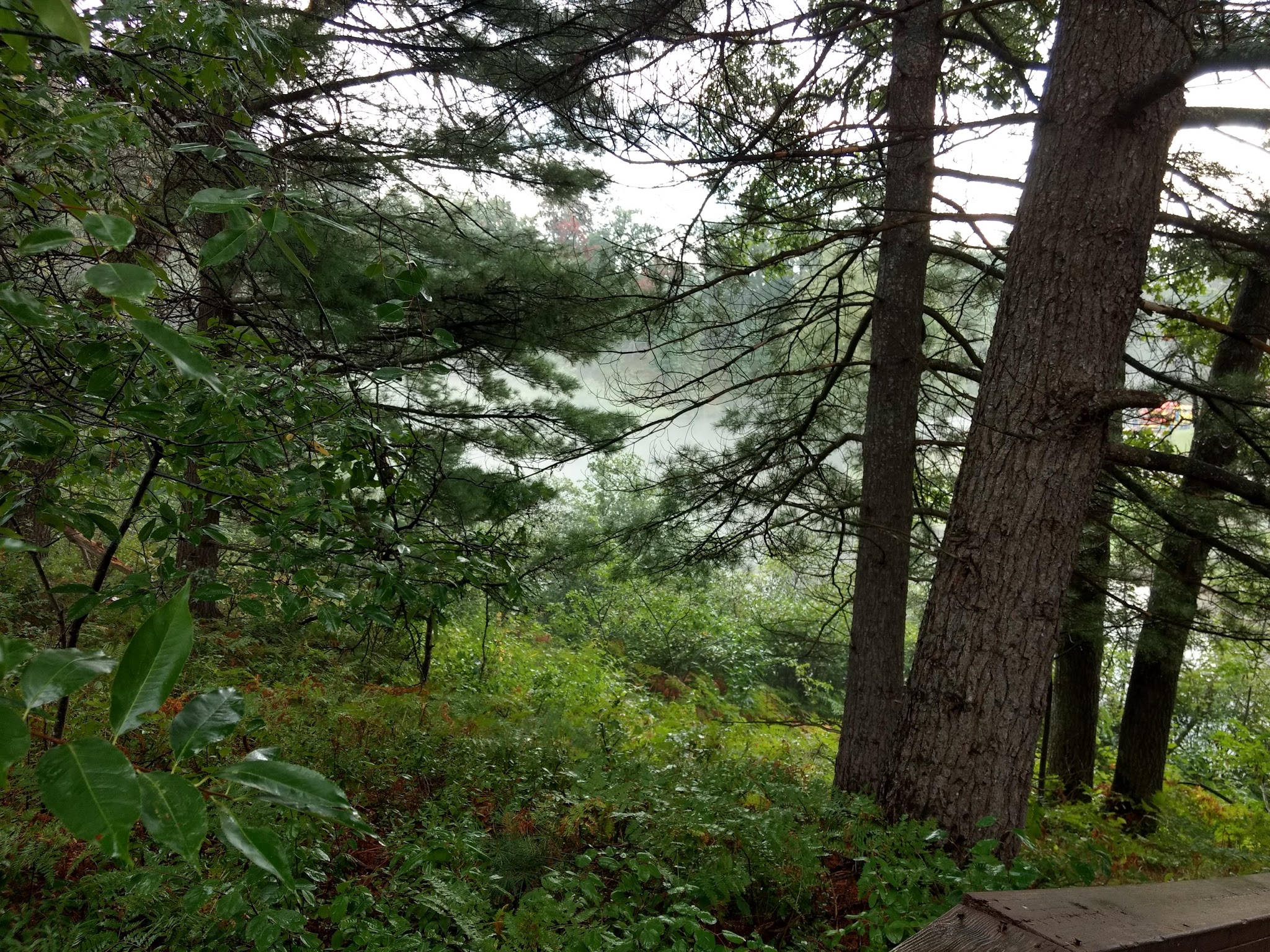 Manistee River Bridge State Forest Campground