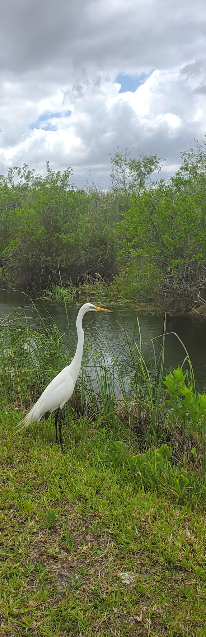Mitchell Landing Campground 