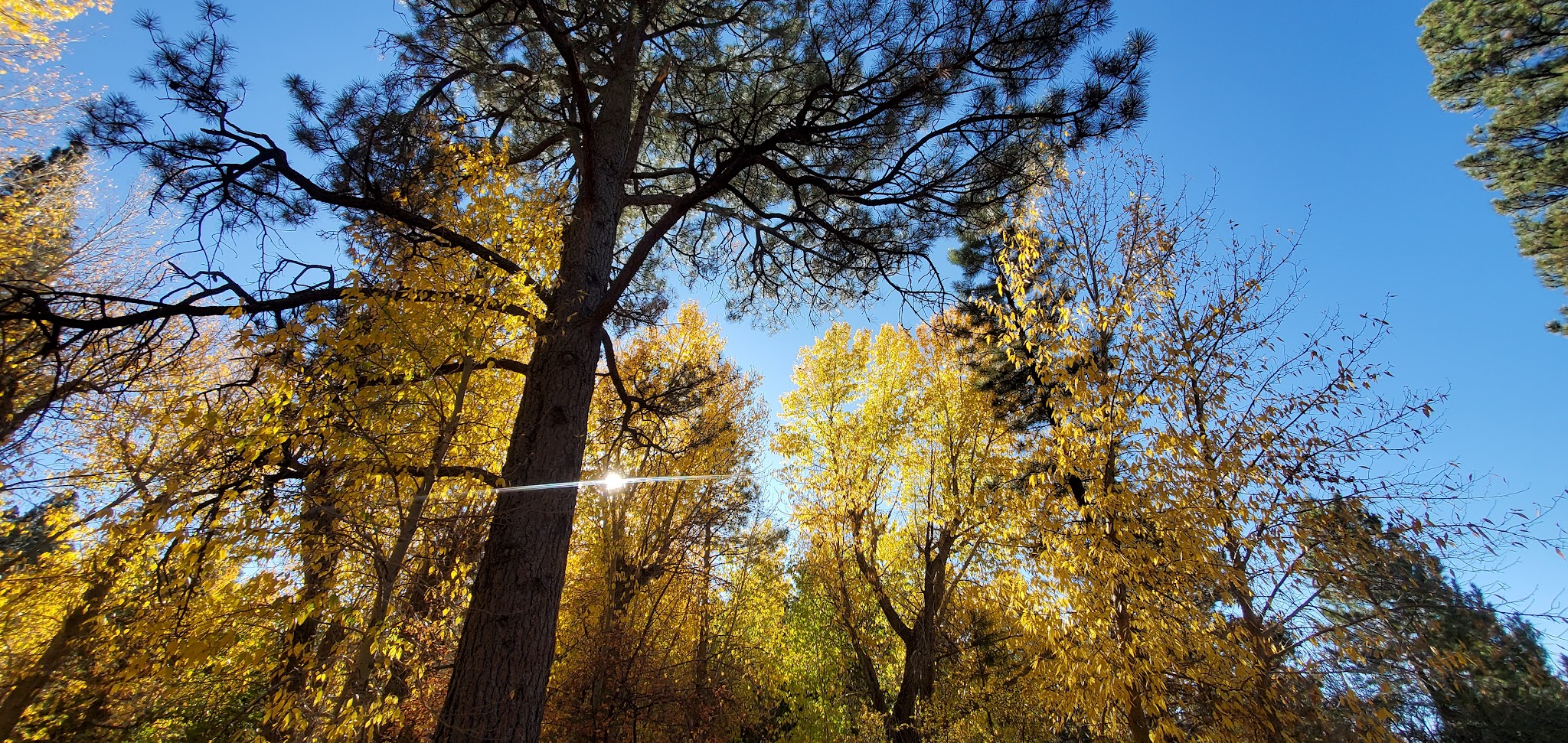 Effie Beckstrom West Group Campground