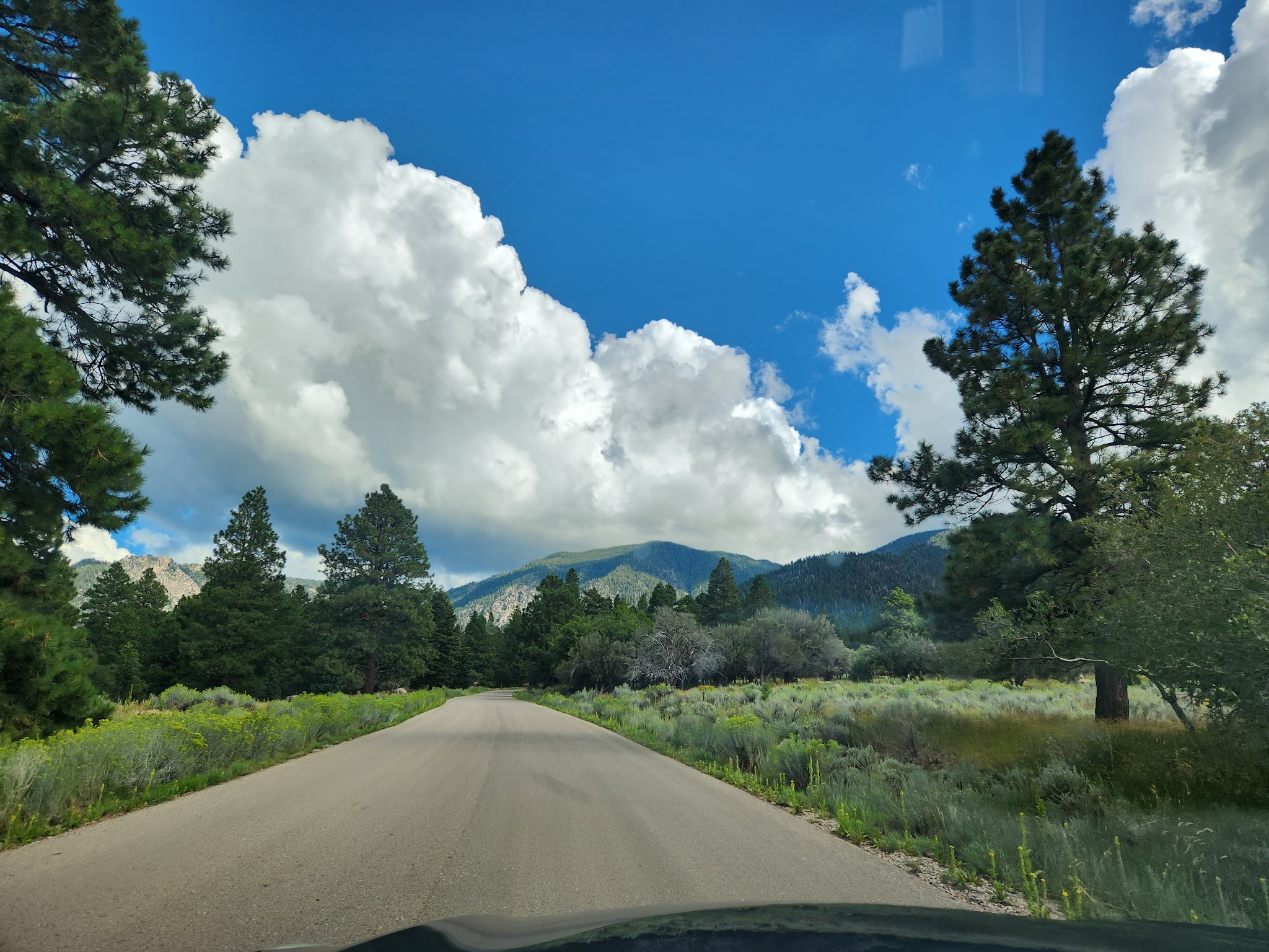 Effie Beckstrom West Group Campground