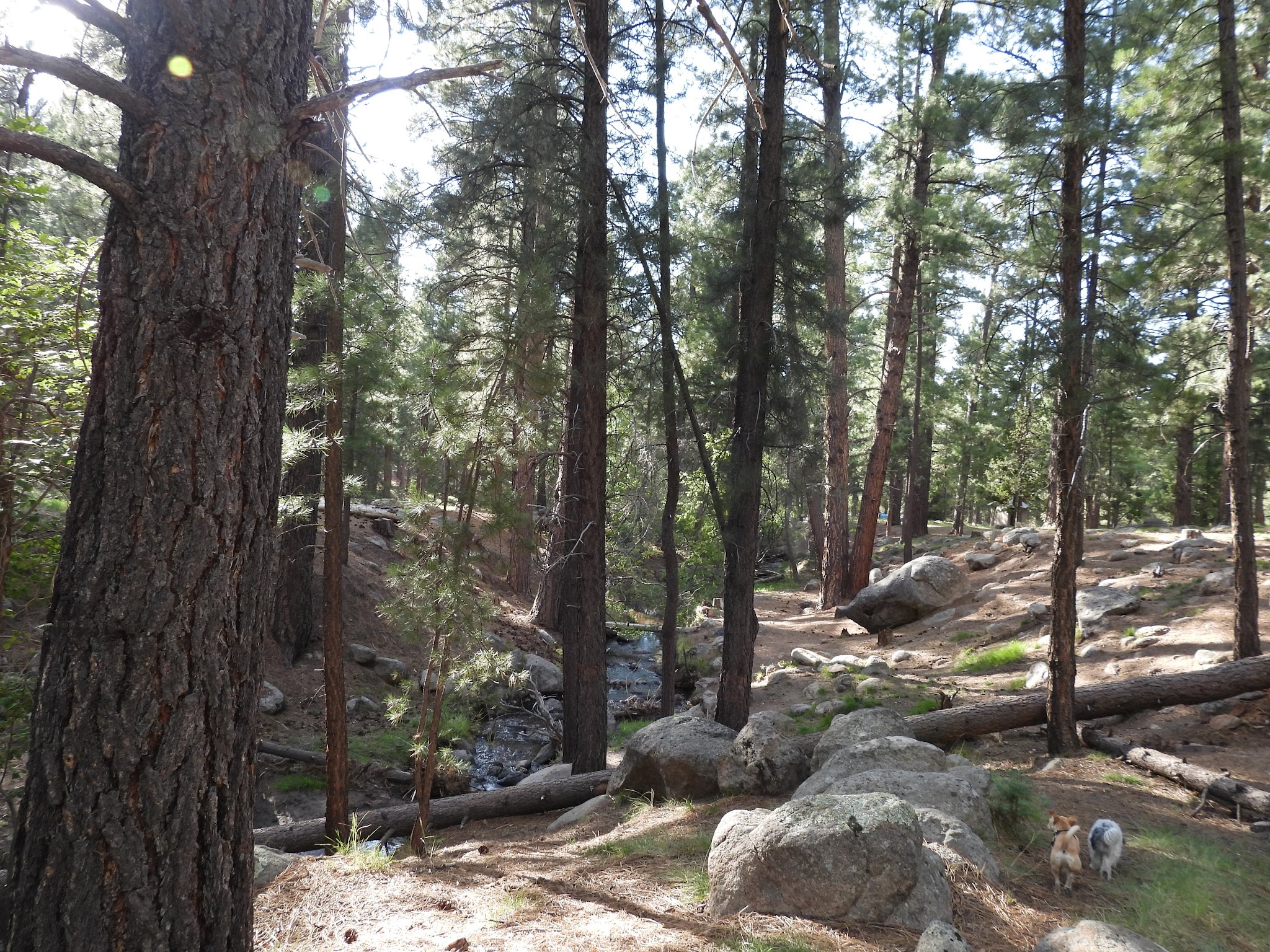 Effie Beckstrom West Group Campground