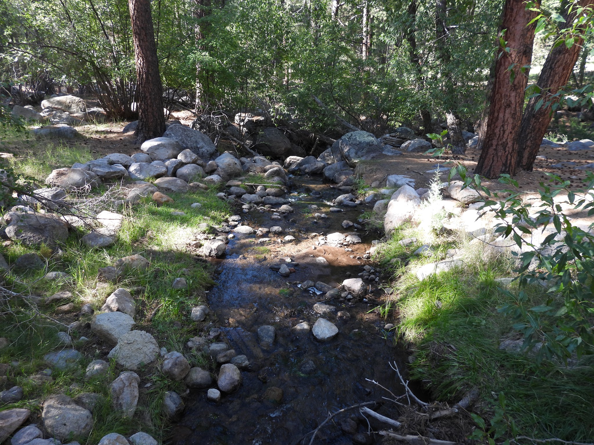Effie Beckstrom West Group Campground