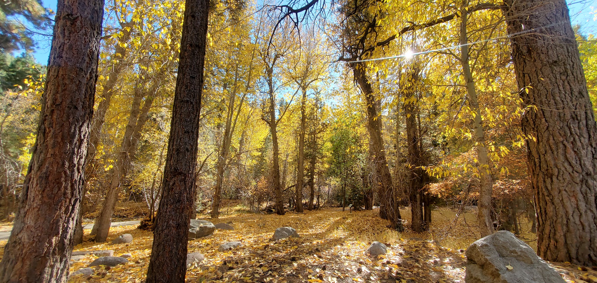 Effie Beckstrom West Group Campground