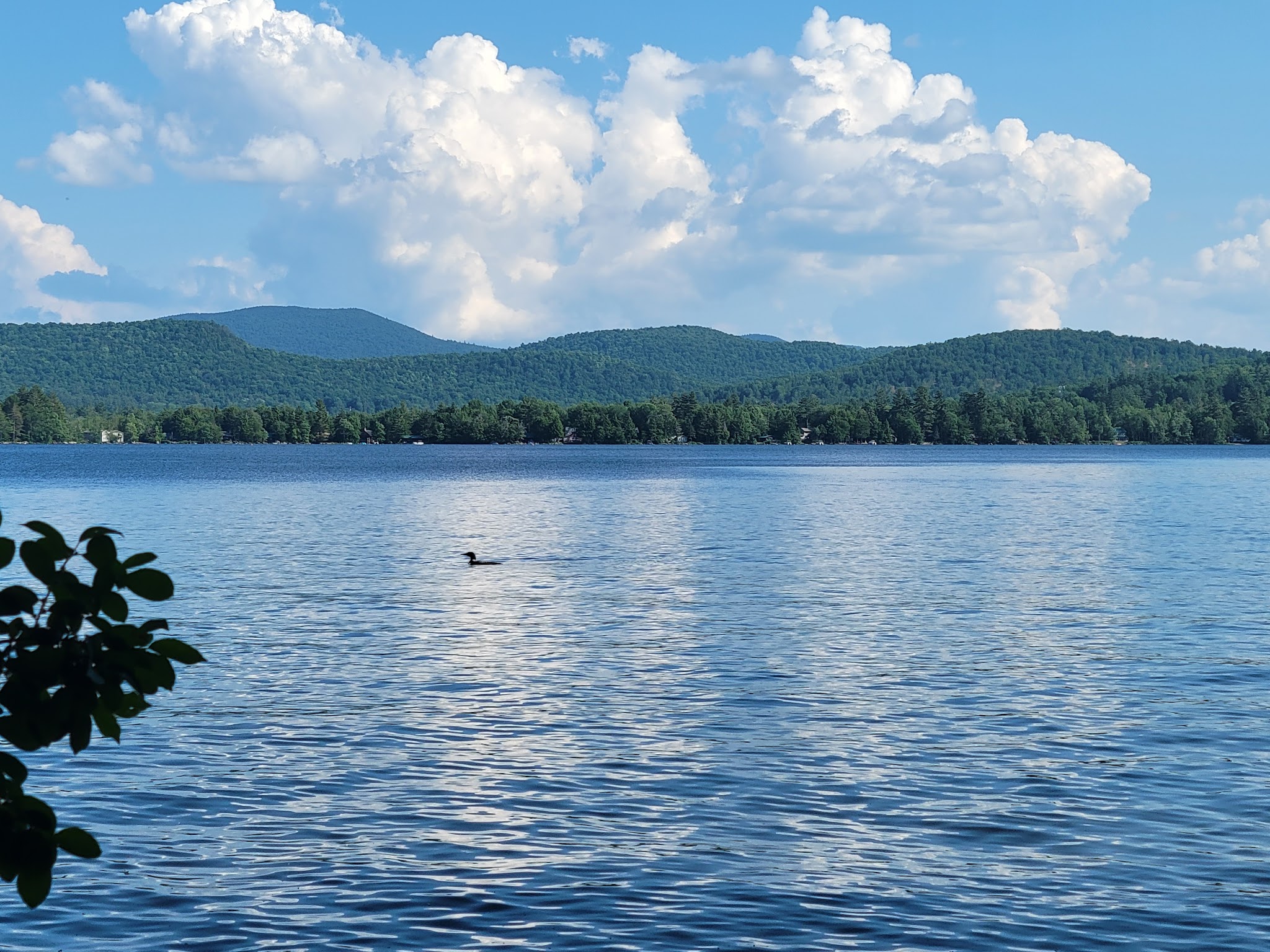 Moffitt Beach Campground