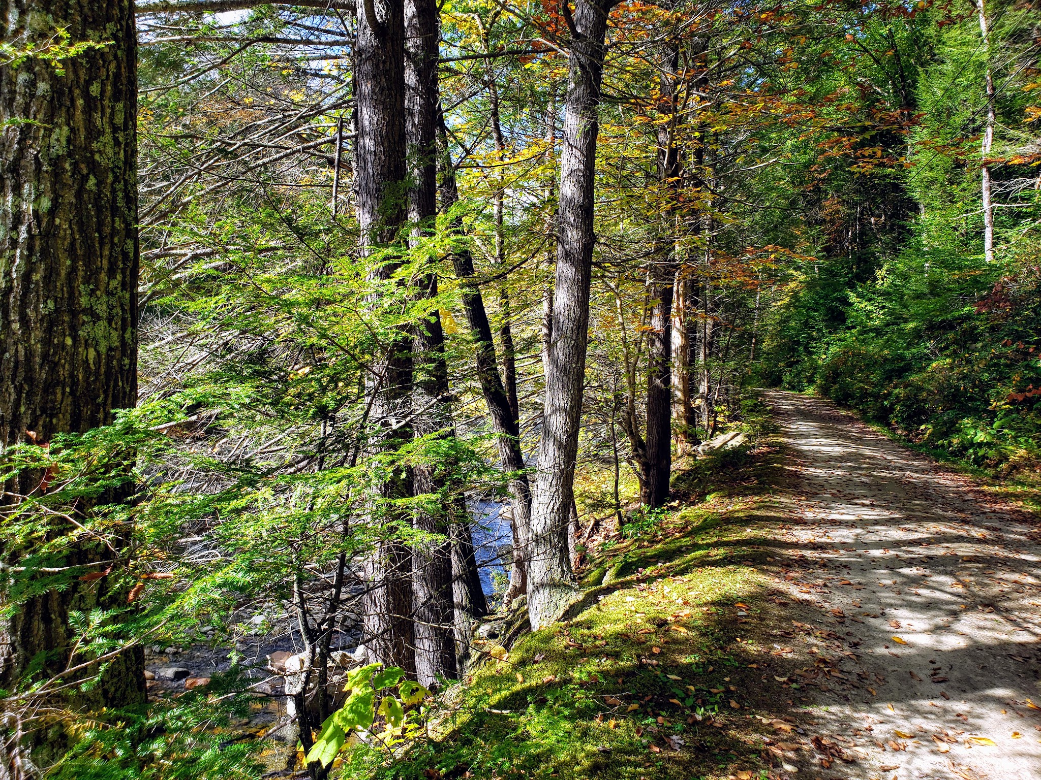 Mohawk Trail State Forest