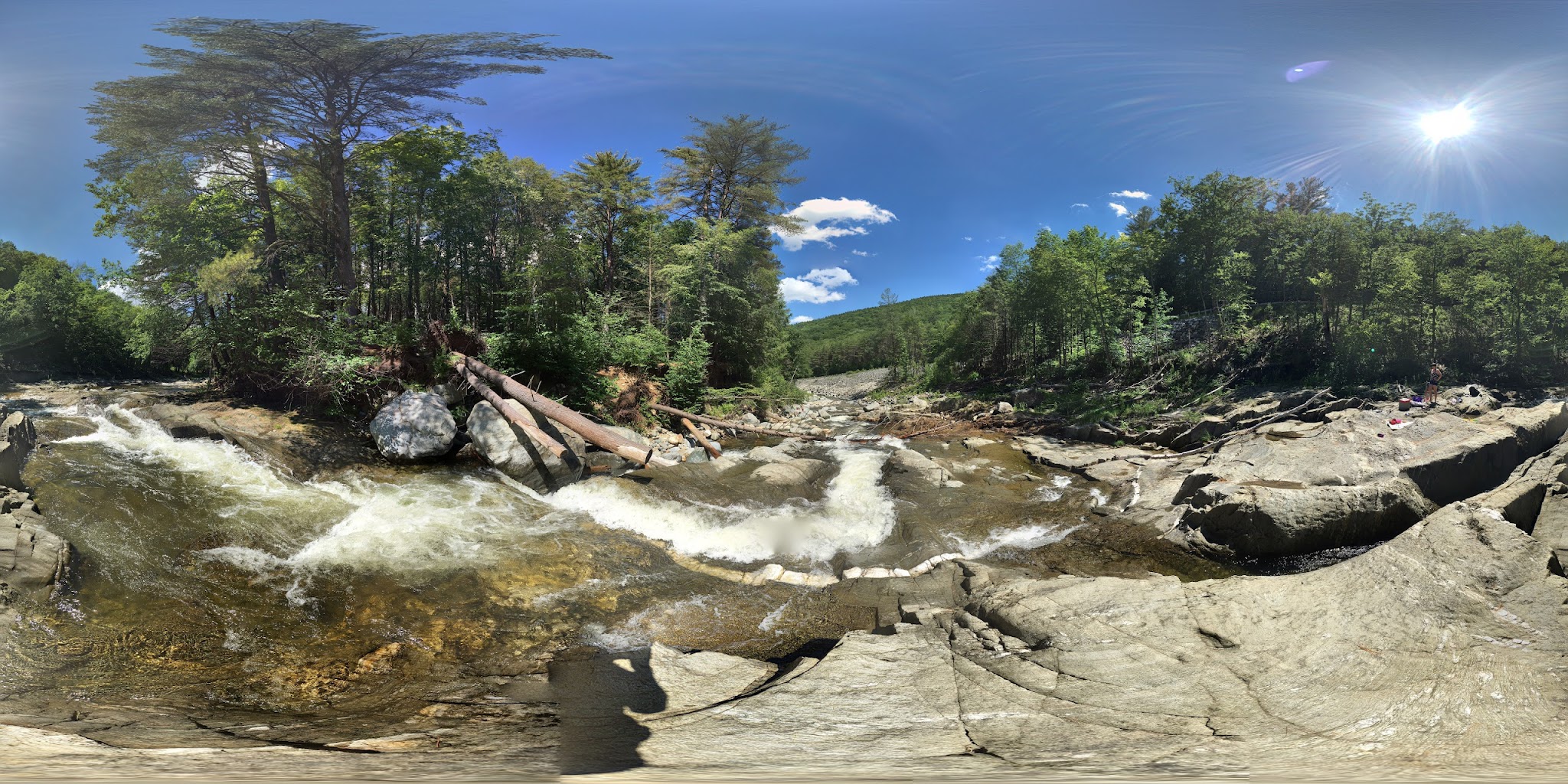 Mohawk Trail State Forest