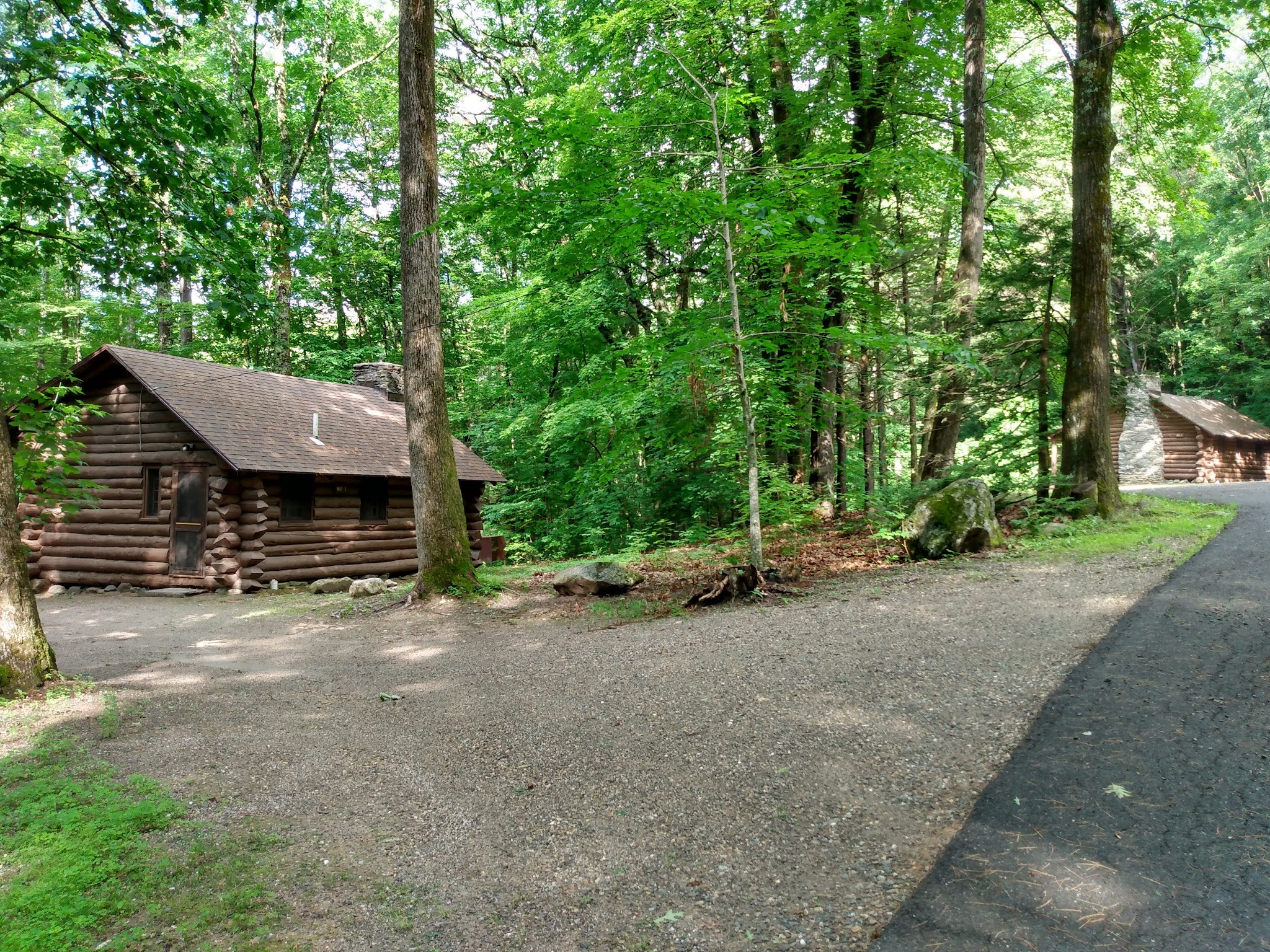 Mohawk Trail State Forest