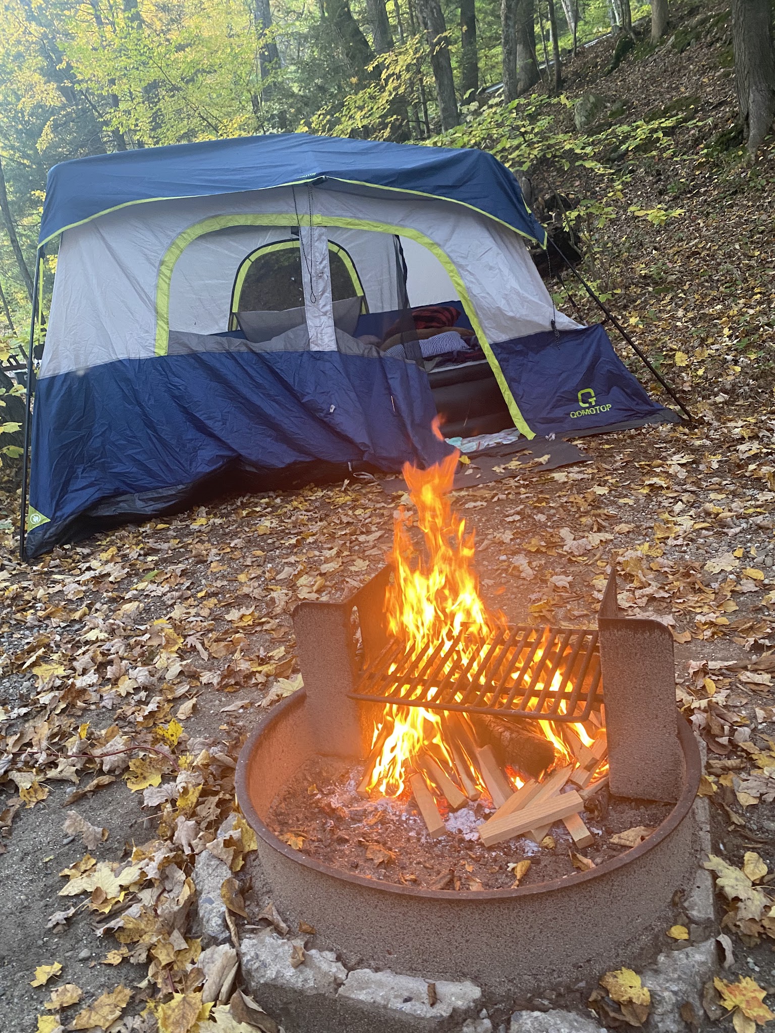 Mohawk Trail State Forest