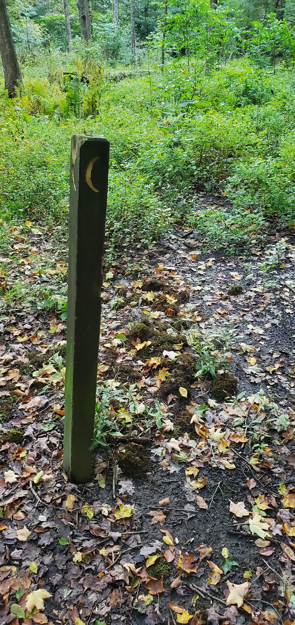 Mohican 2 Campground